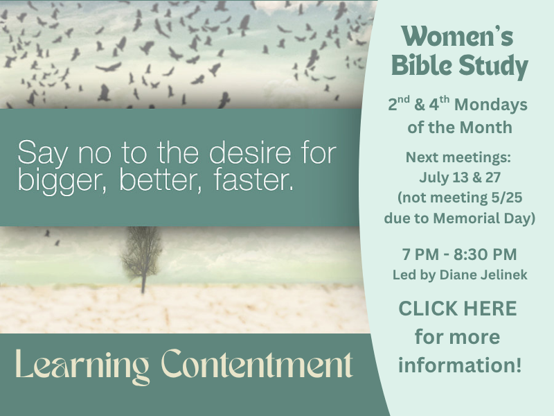 Contentment study Women's Bible Study Website banner (2).png