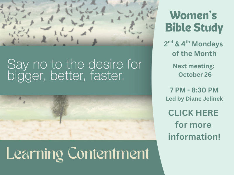 Contentment study Women's Bible Study Website banner (6).png