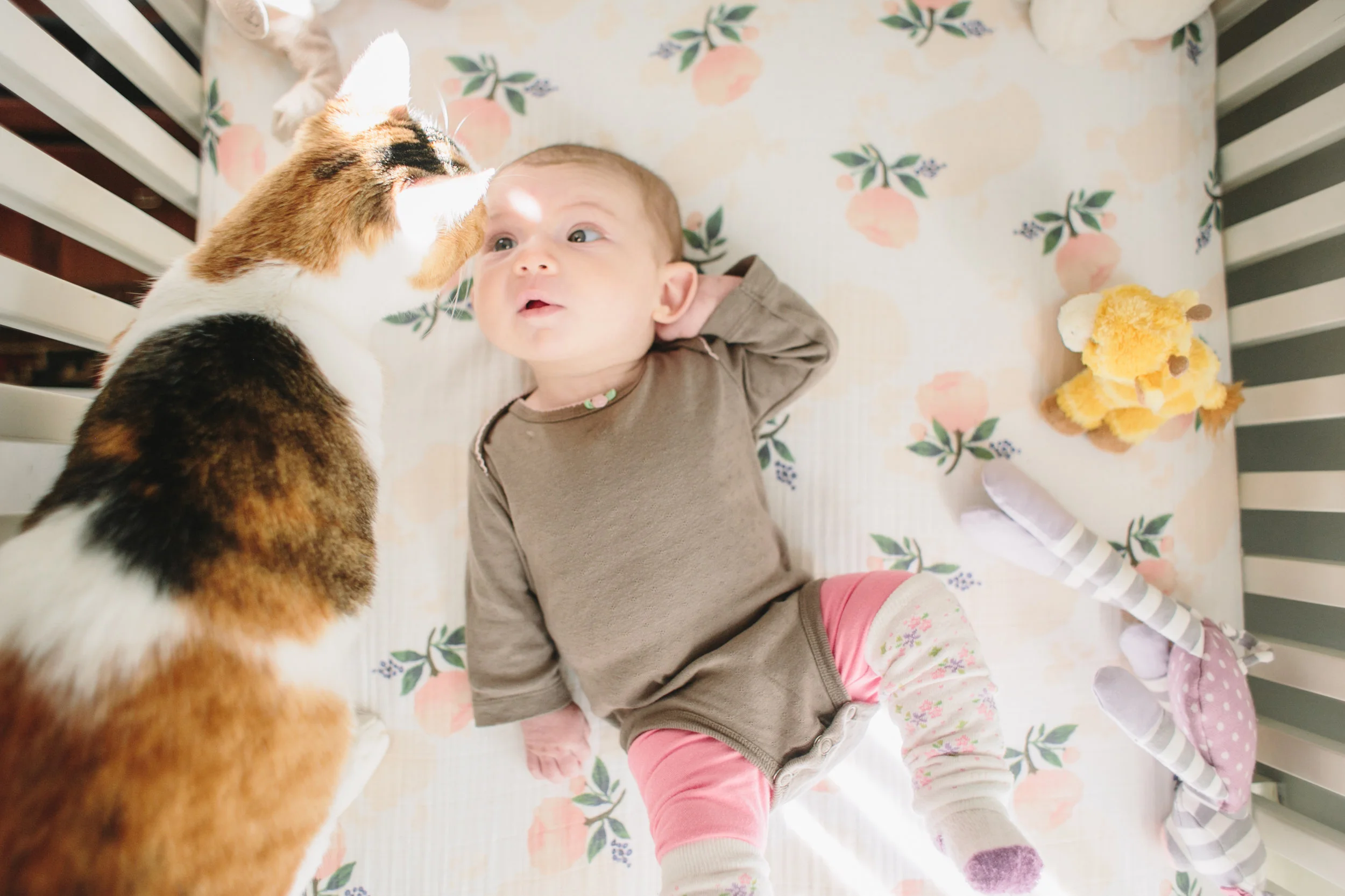 atlanta newborn documentary photographer