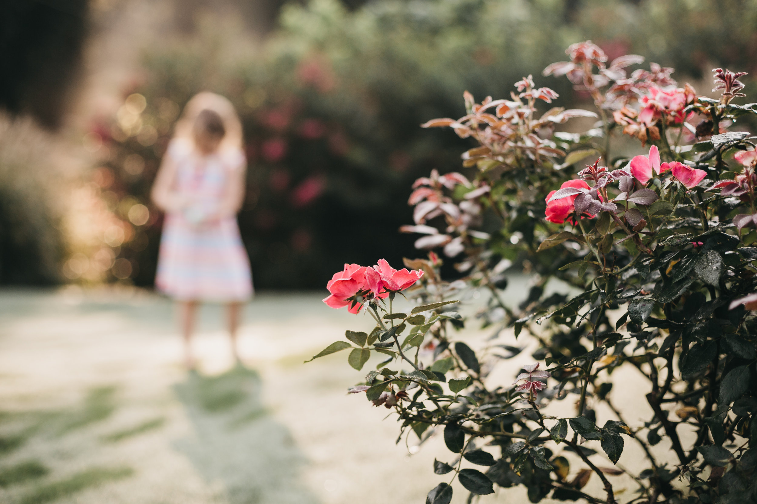 atlanta family lifestyle photographer