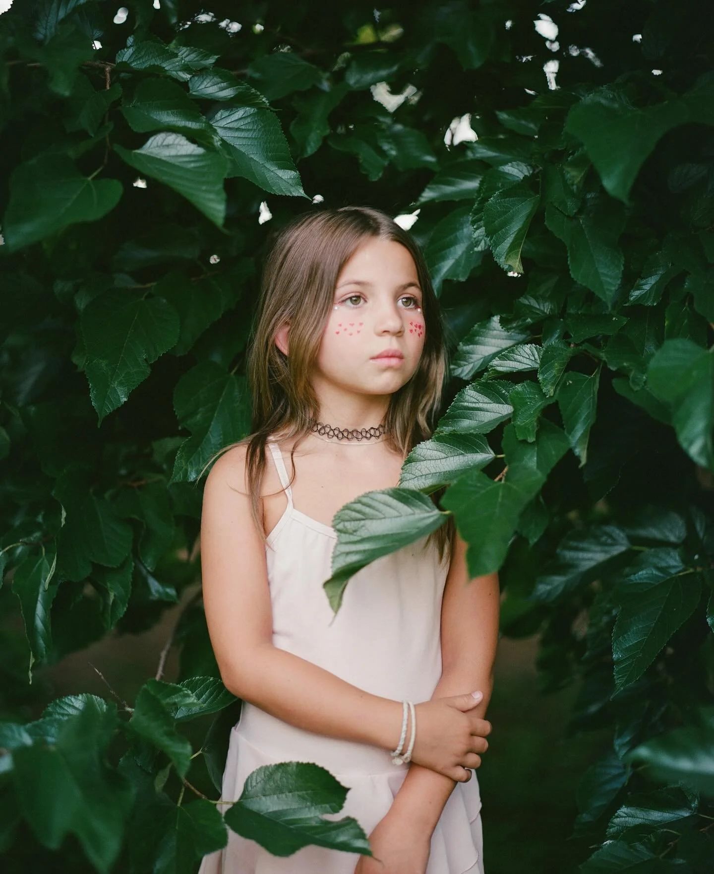 Clementine and the fallen tree. 
.
.
#pentax67 #portra400  #sheshootsfilm Dev+Scan by @indiefilmlab