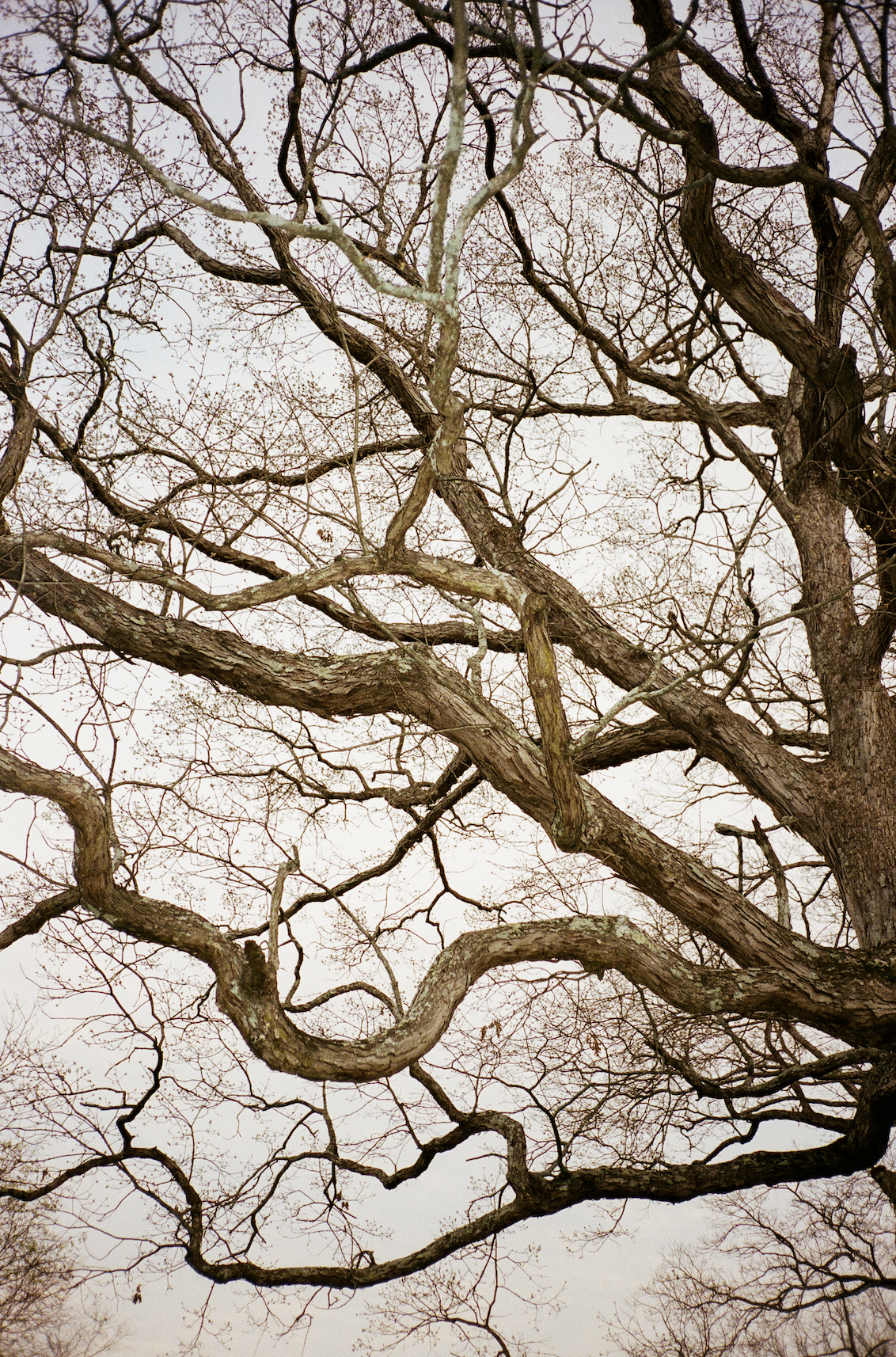 documentary photos atlanta.jpg