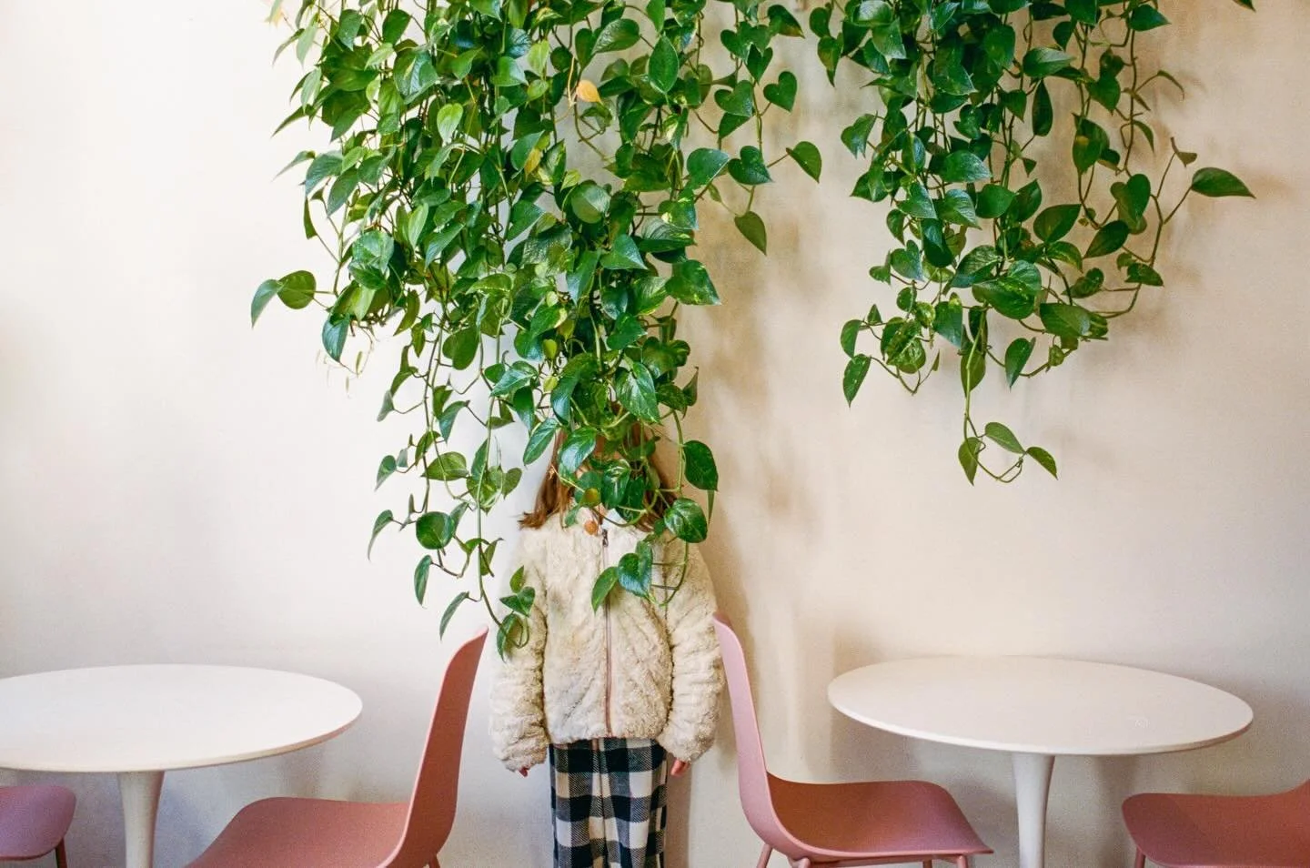 When we walked into this adorable (and vegan!) coffee shop in Chattanooga and saw all these plants, and this light, my family KNEW they weren&rsquo;t getting out of there without taking some photos. 

If you ever find yourself in the area, go to @sle
