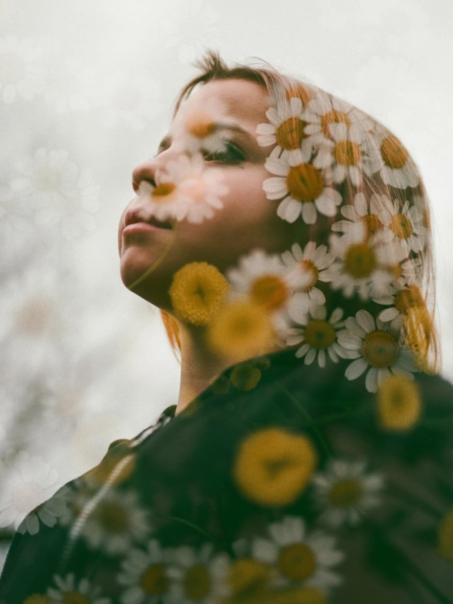 Clementine, always up for making some magic with me with those last few frames on a roll of film. Some double exposure goodness with the chamomile I purchased a few days earlier, simply because it makes me smile. 
.
#film #35mm #doubleexposurefilm