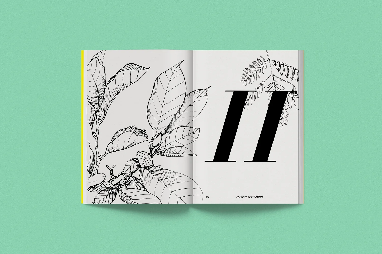 Botanico_FOLIO_WEB___.jpg