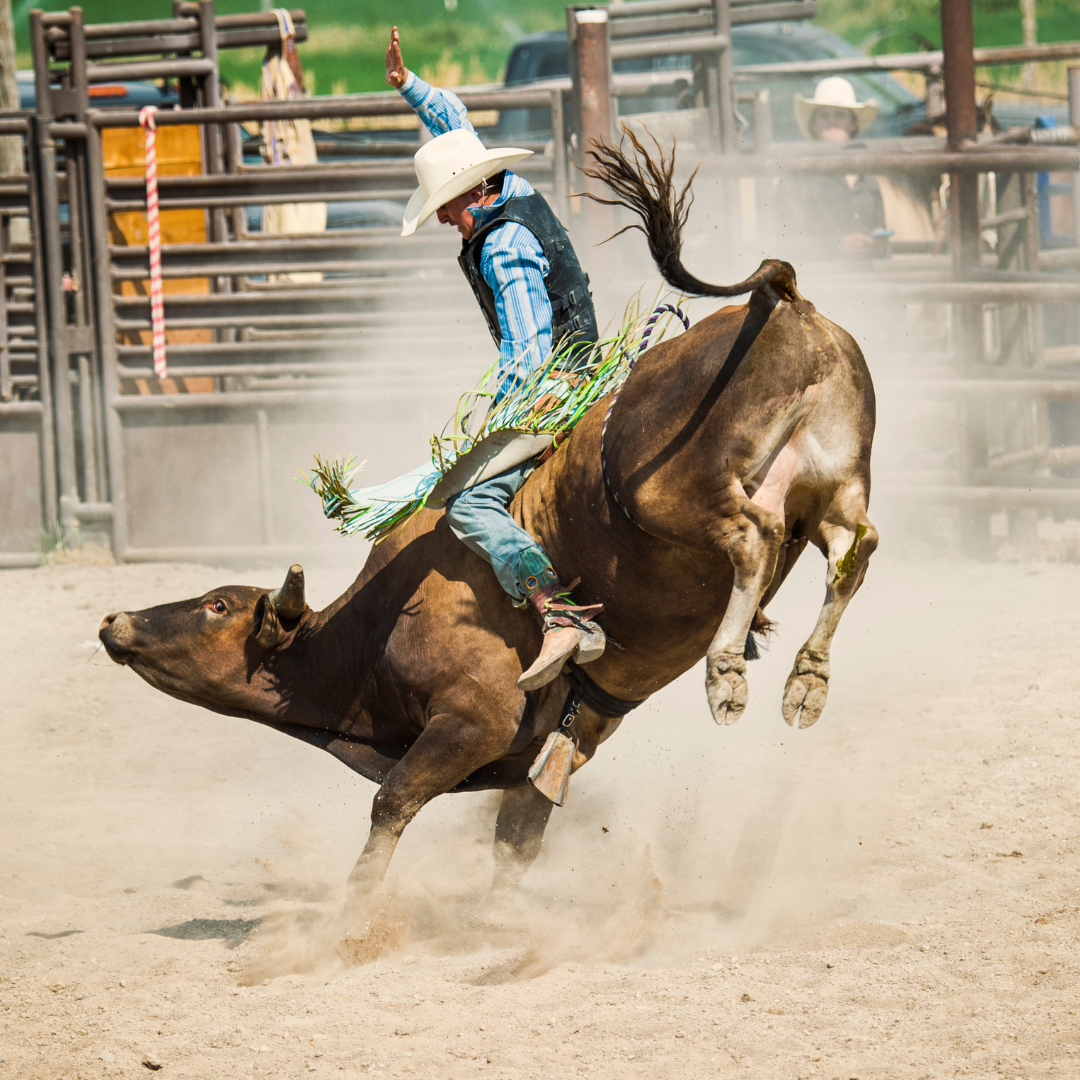 Pro Bull Riding & Barrel Racing