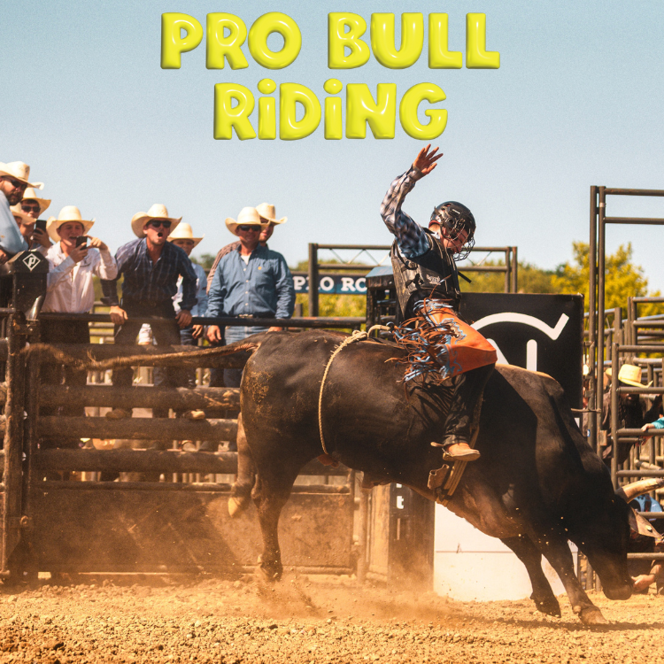 A cowboy riding a bucking bull during a rodeo event, with spectators watching behind a fence and the words 'Pro Bull Riding' in bright yellow letters at the top.