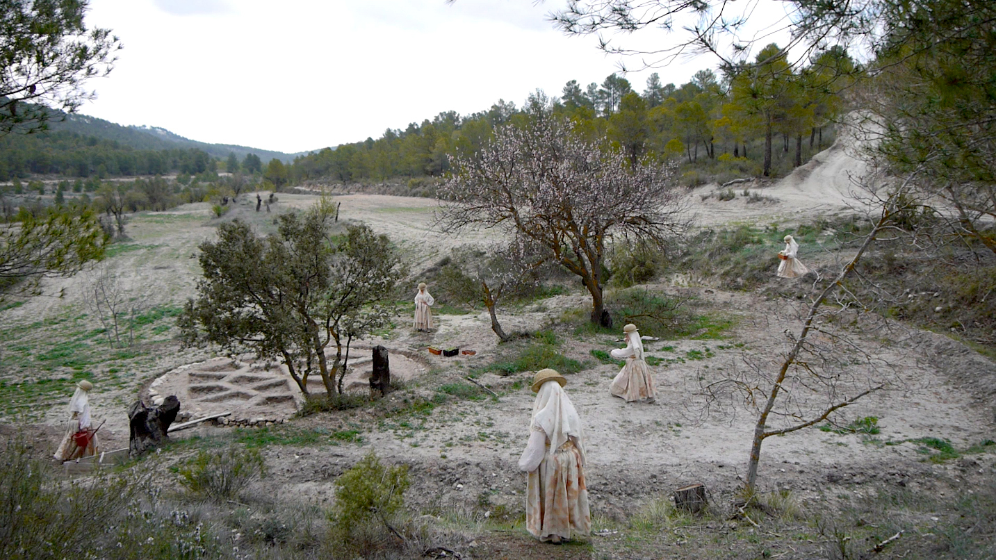sigrid holmood color garden.jpg