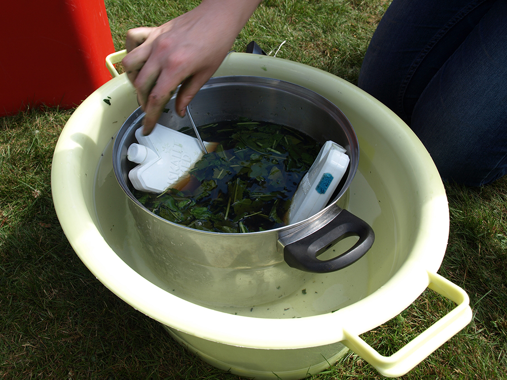 Cooling down the woad bath with ice packs.
