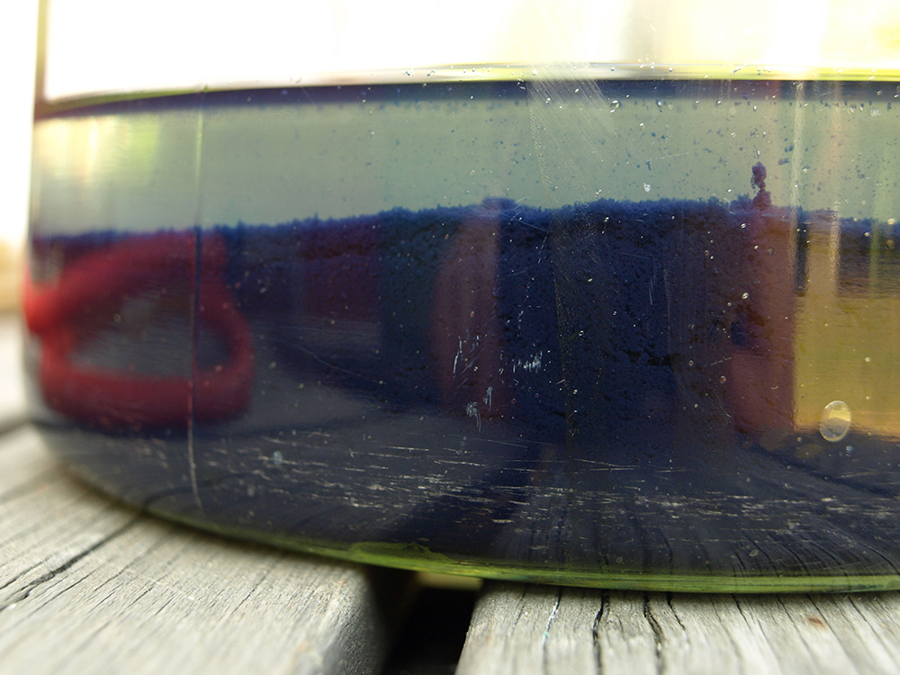 A close up of the deposit of indigo from woad on the bottom of the jar.