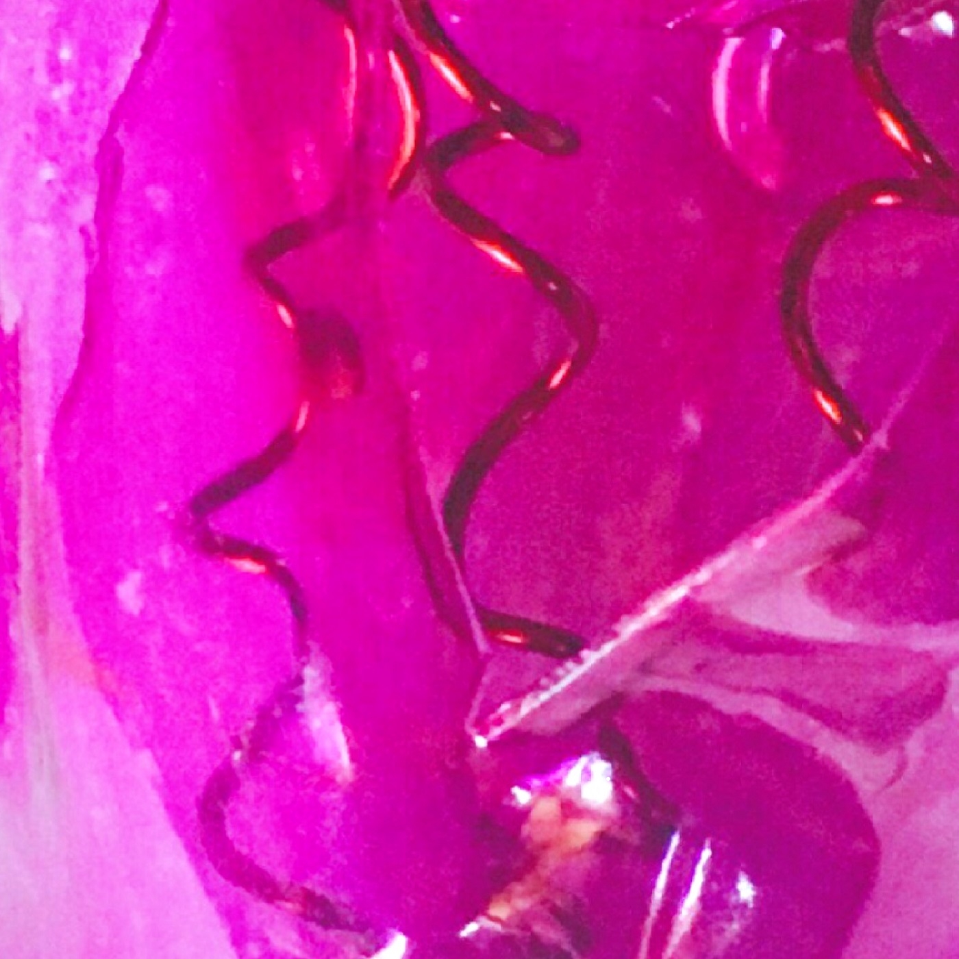 stunning details of an upcycled water bottle flower!!