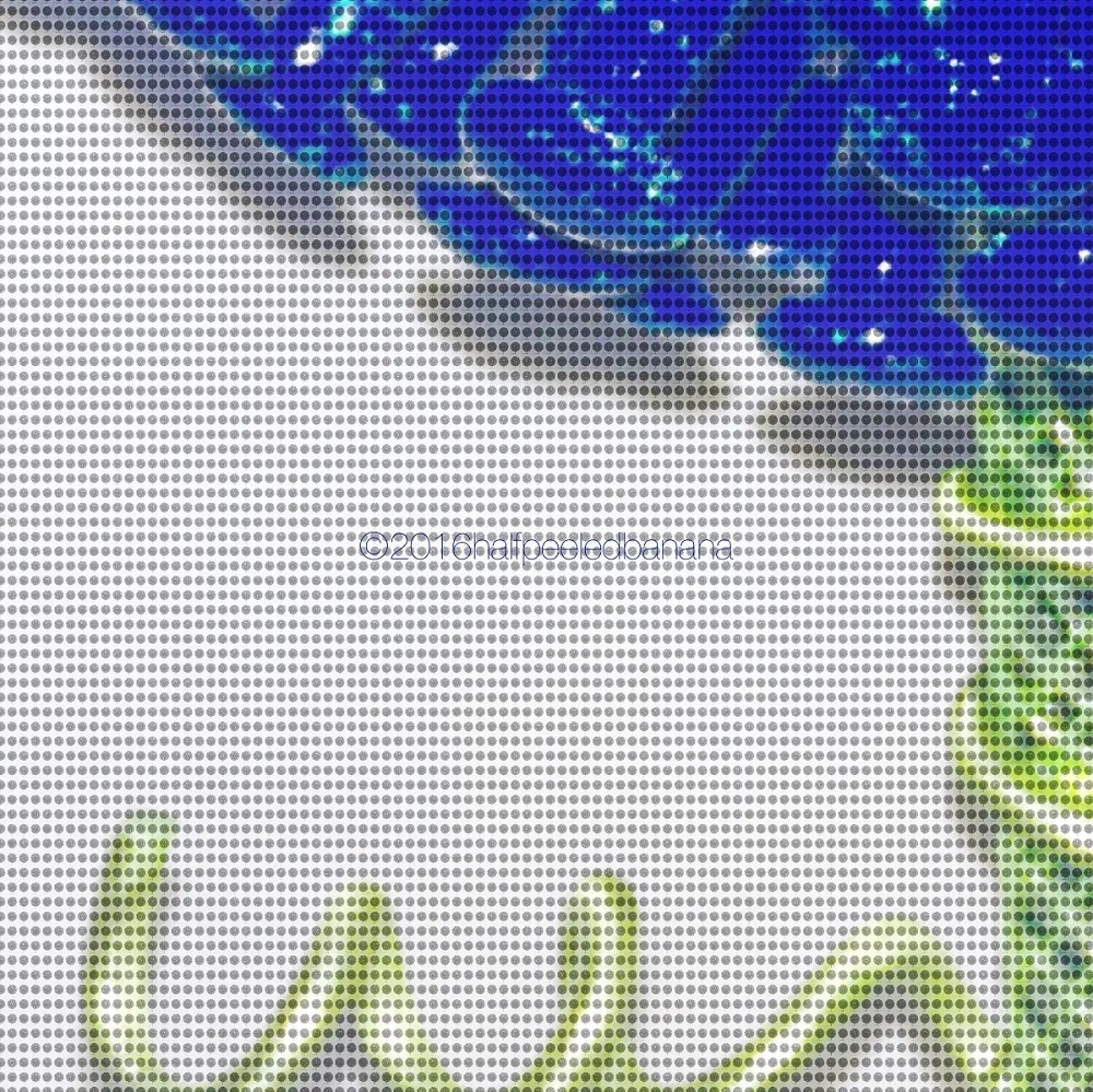 "my big blue" fine art pins print no. 01 by ann vanatta gutierrez
