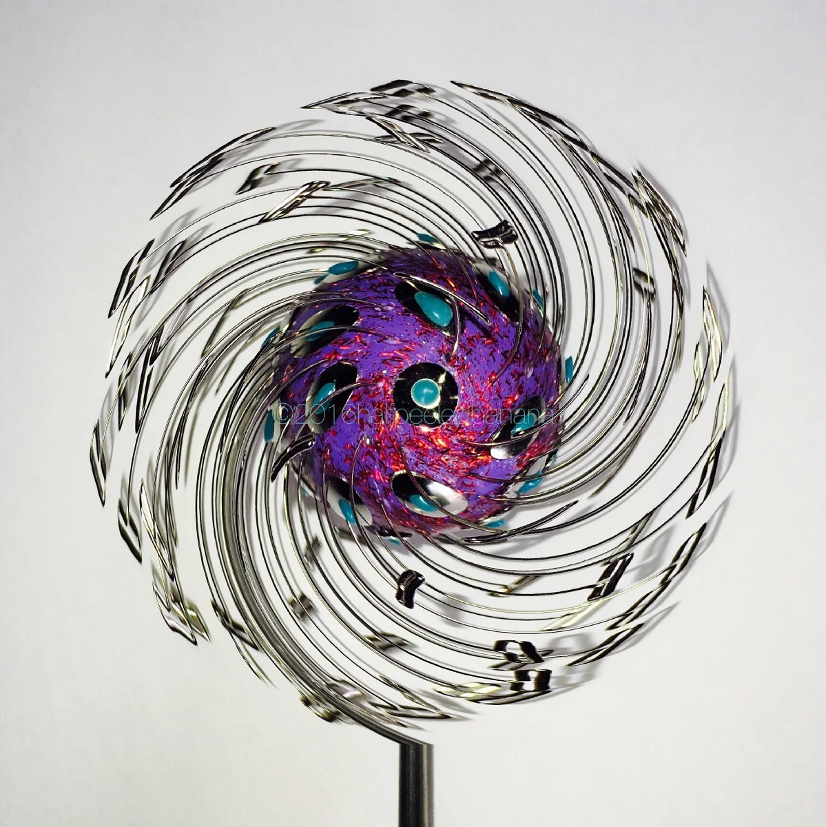"twisted barney" fine art print dandi no. 05 by ann vanatta gutierrez