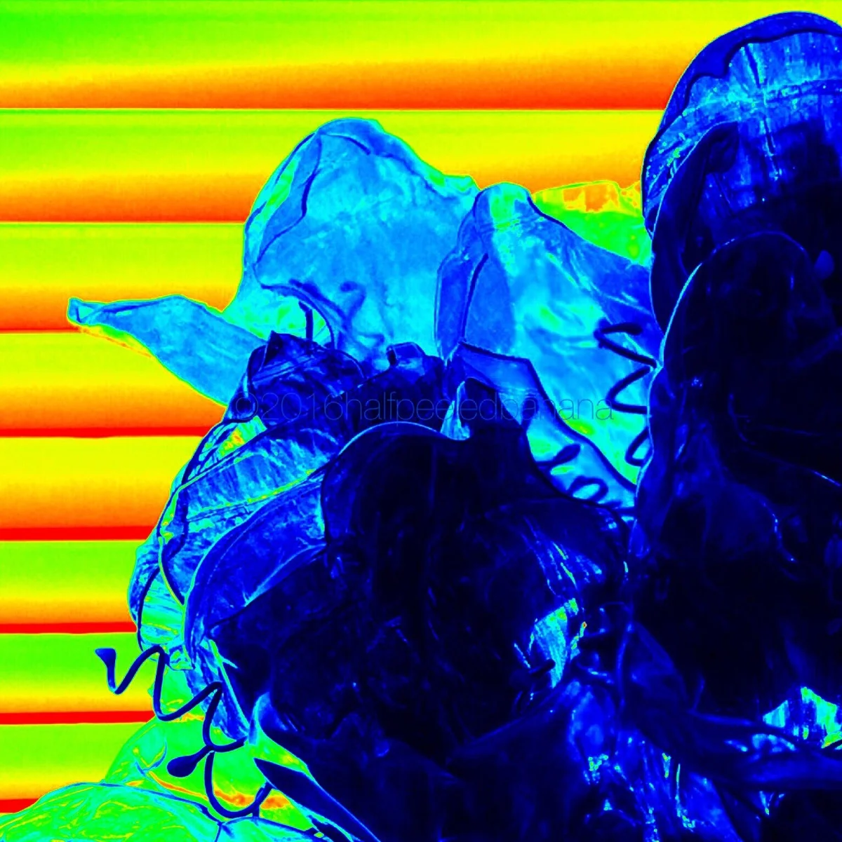 "blue light special" fine art print thirsty no. 05 by ann vanatta gutierrez