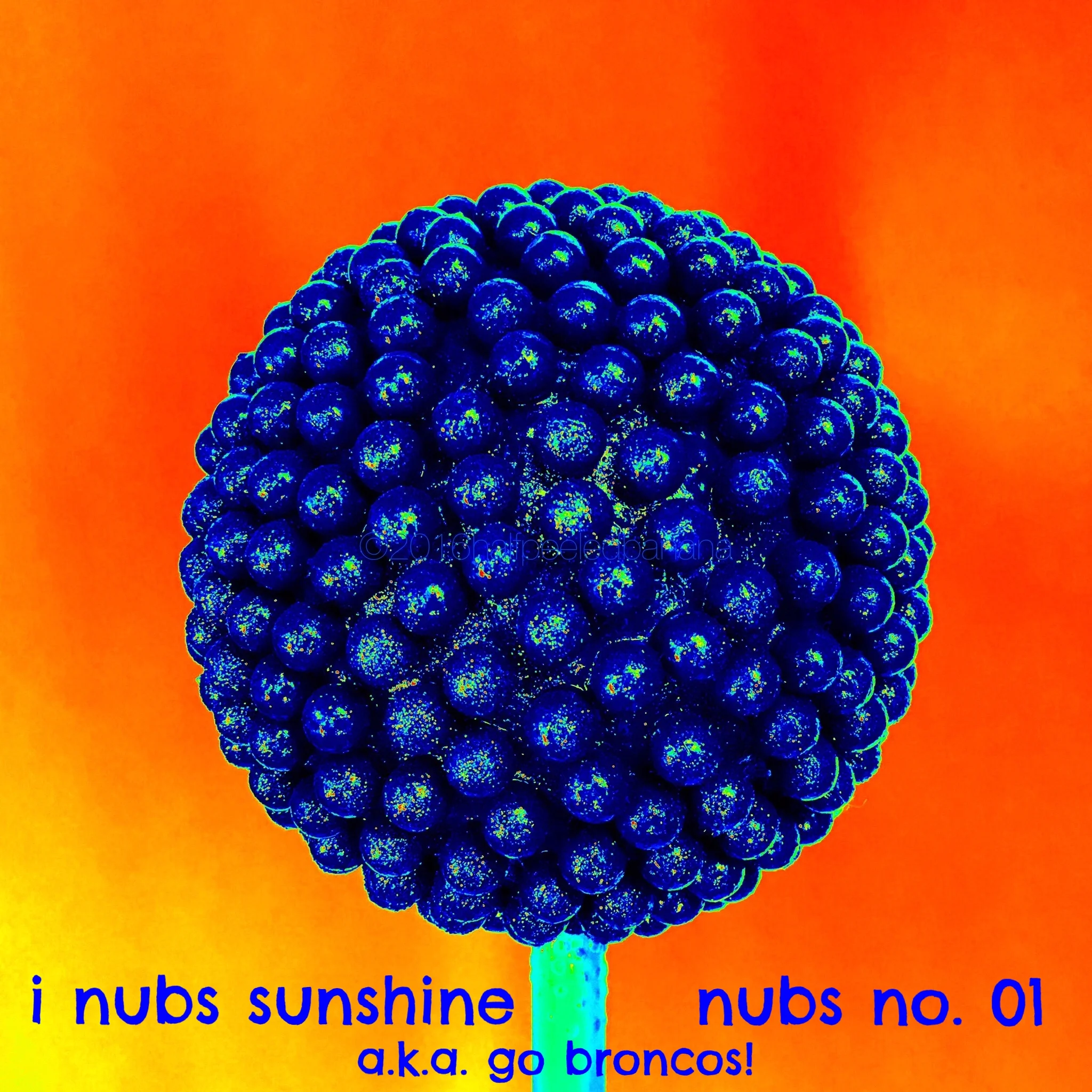 i nub sunshine - nubs print no. 01