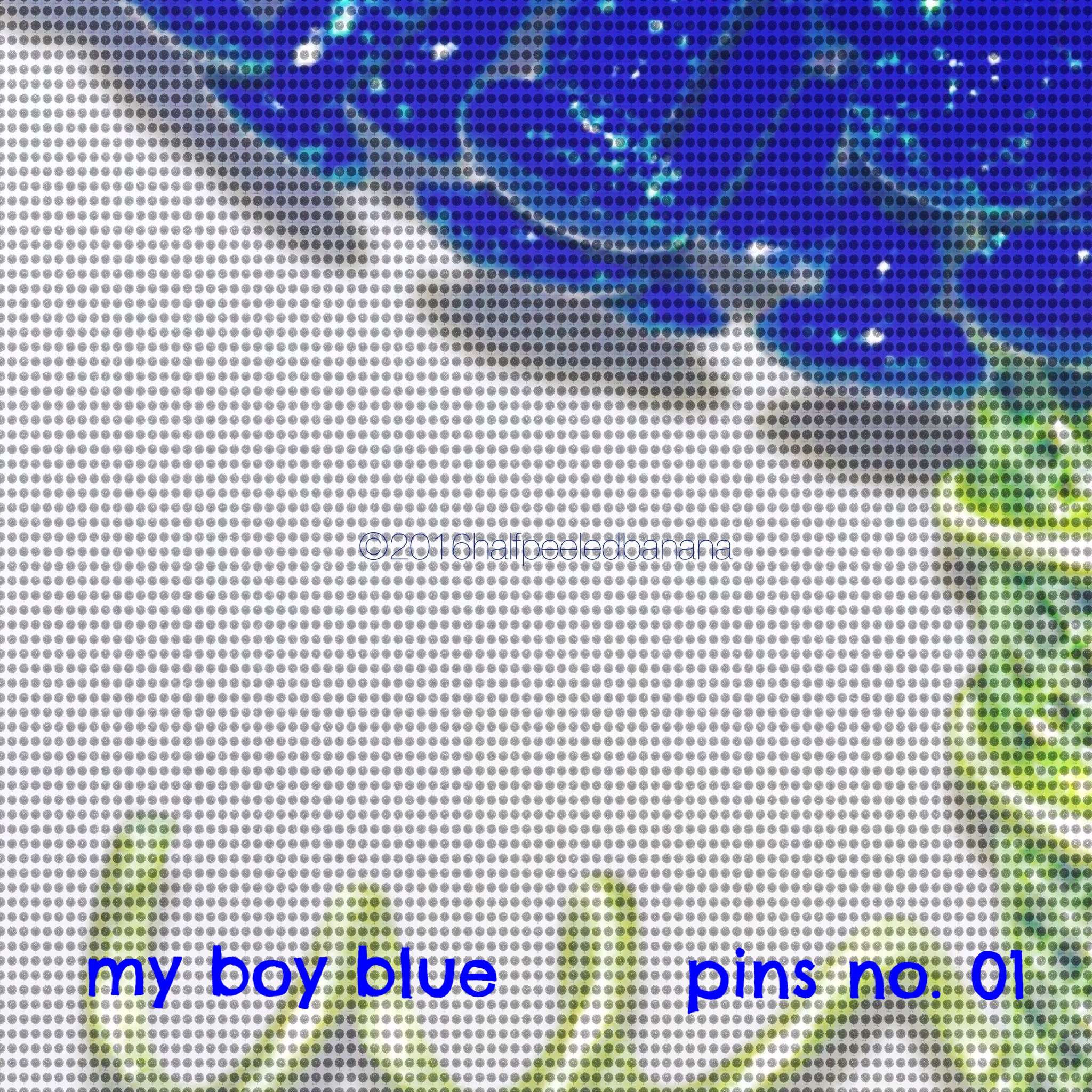 my boy blue - pins print no. 01