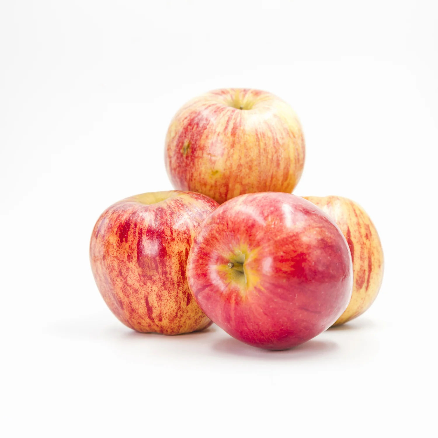 WCT_Apples_September.jpg