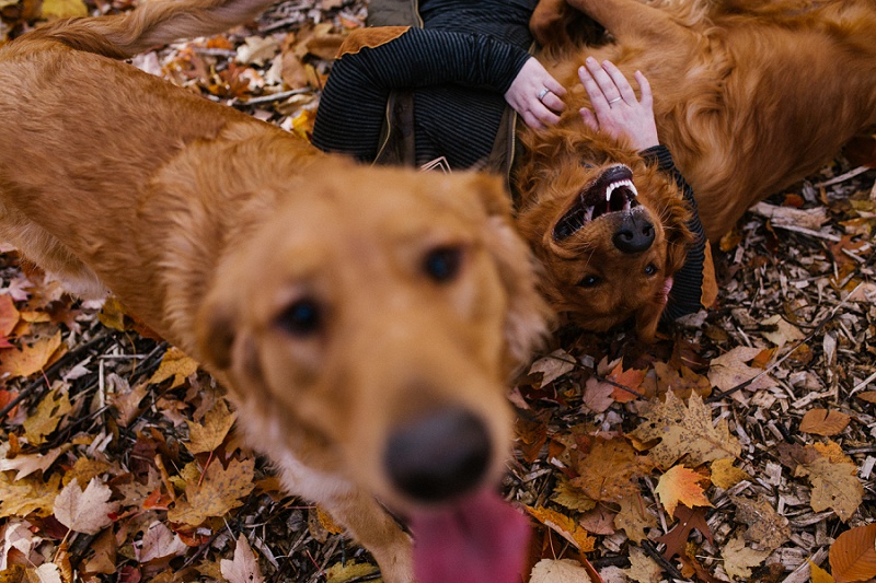 west-michigan-lifestyle-photographer-ludington-puppy-photo-journalism-session-with-abby-and-scout-9794.jpg