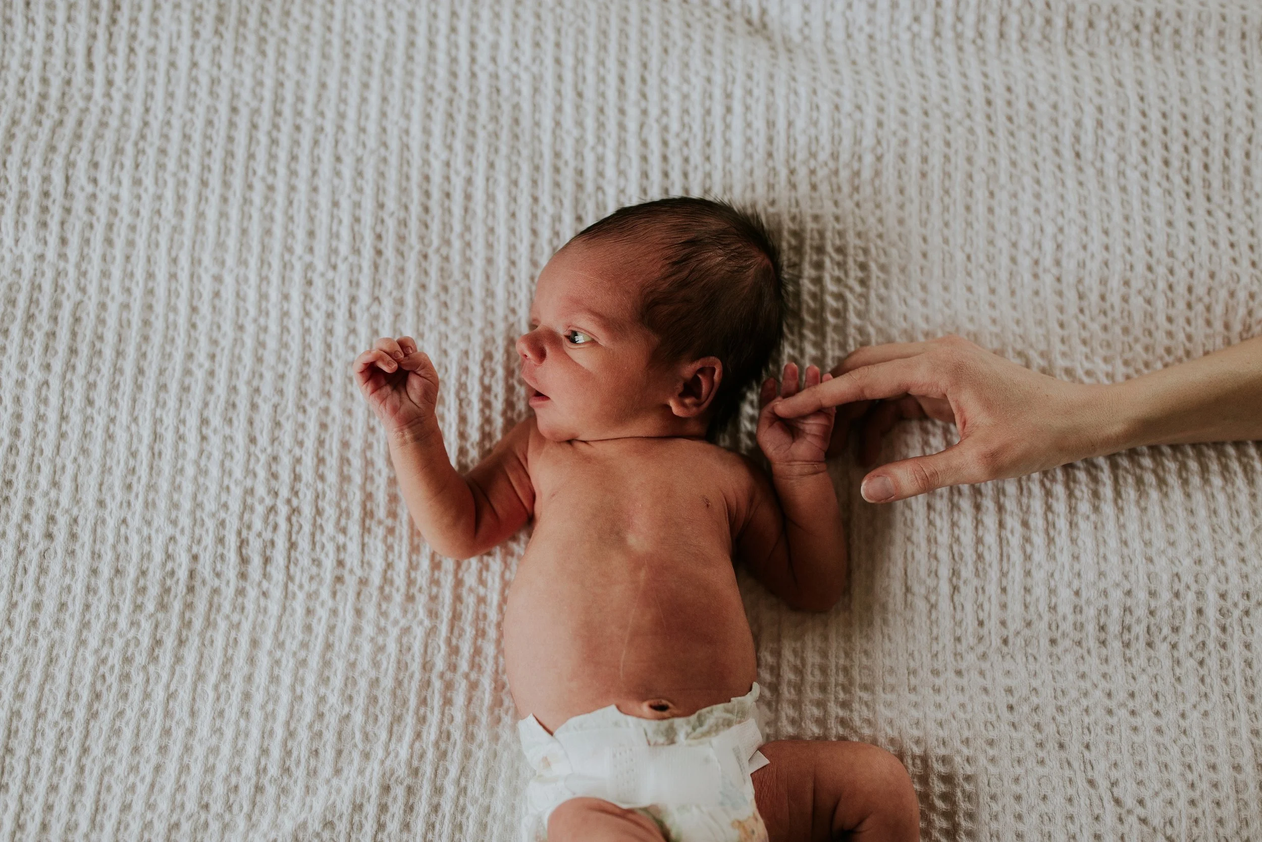 paxton_0021.jpg