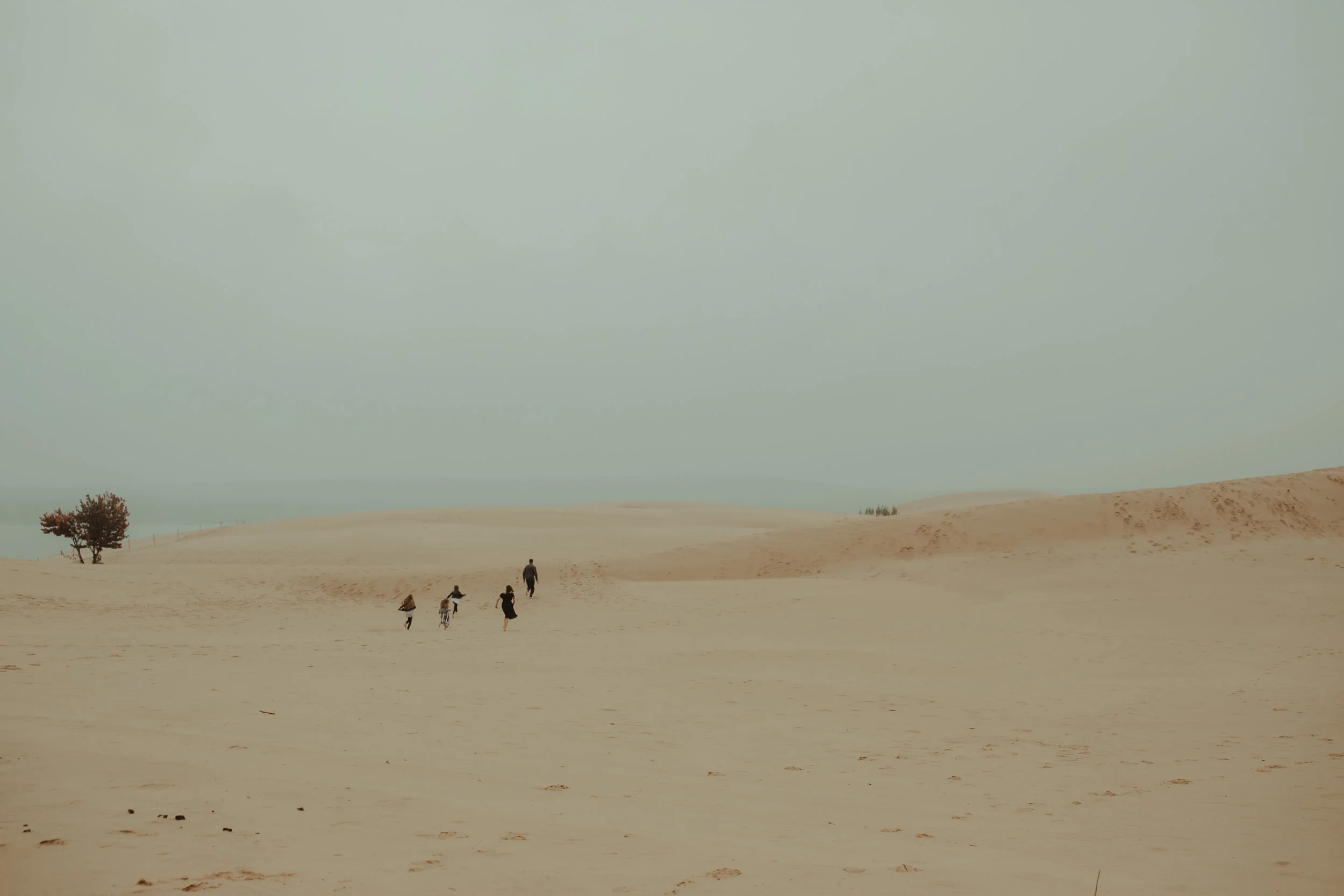 Scott-Moody-Dunes-26.jpg