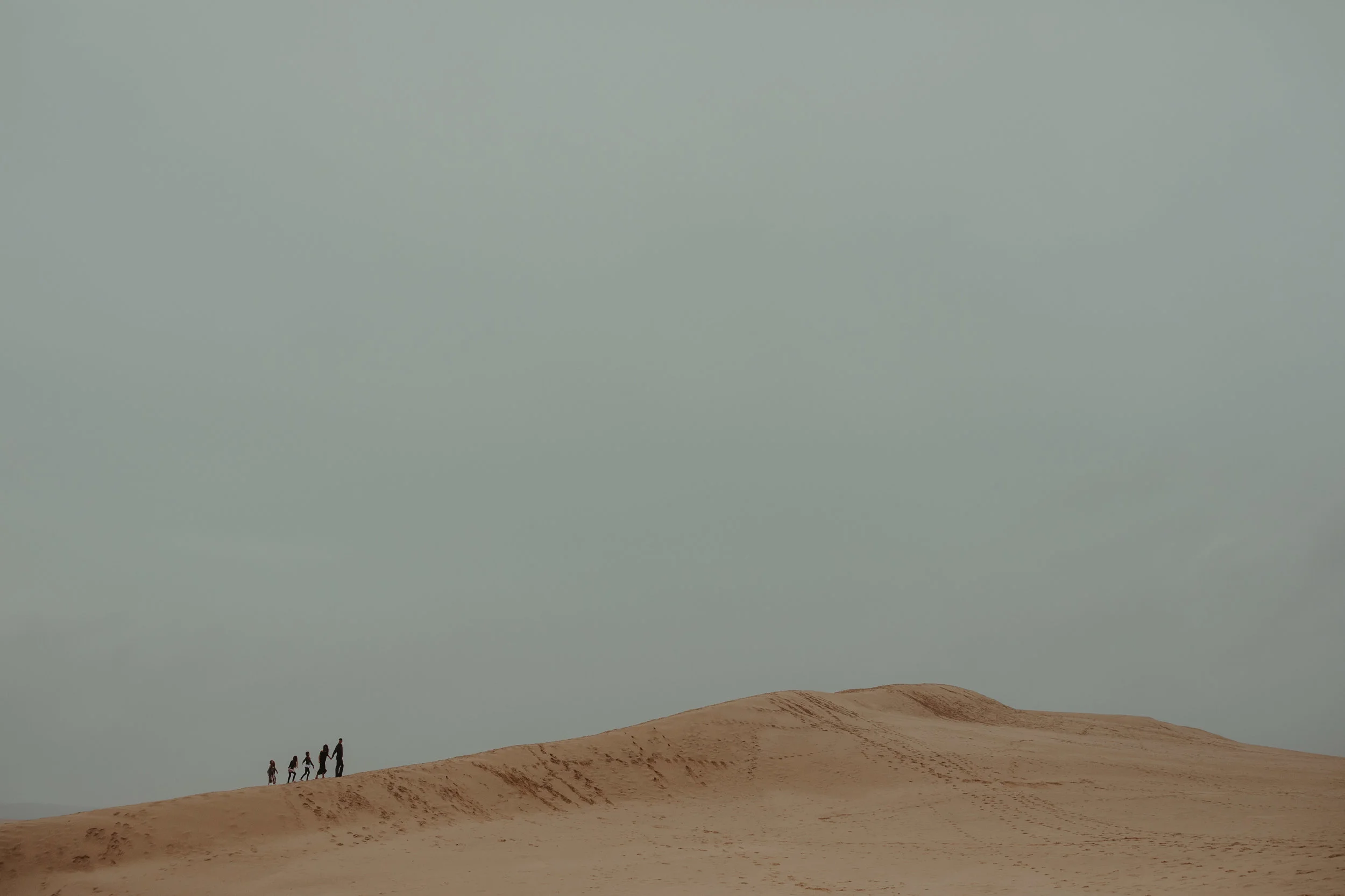 Scott-Moody-Dunes-31.jpg
