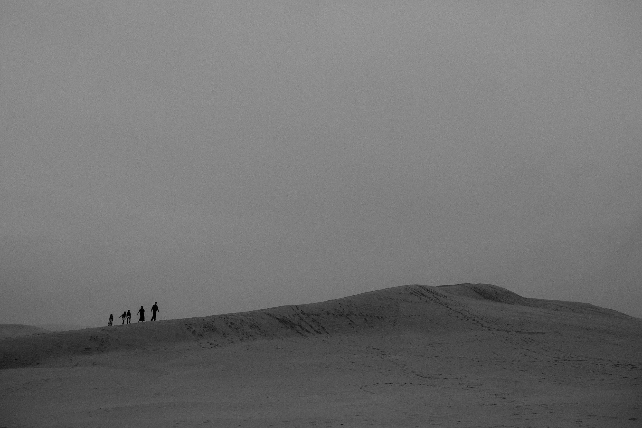 Scott-Moody-Dunes-30.jpg