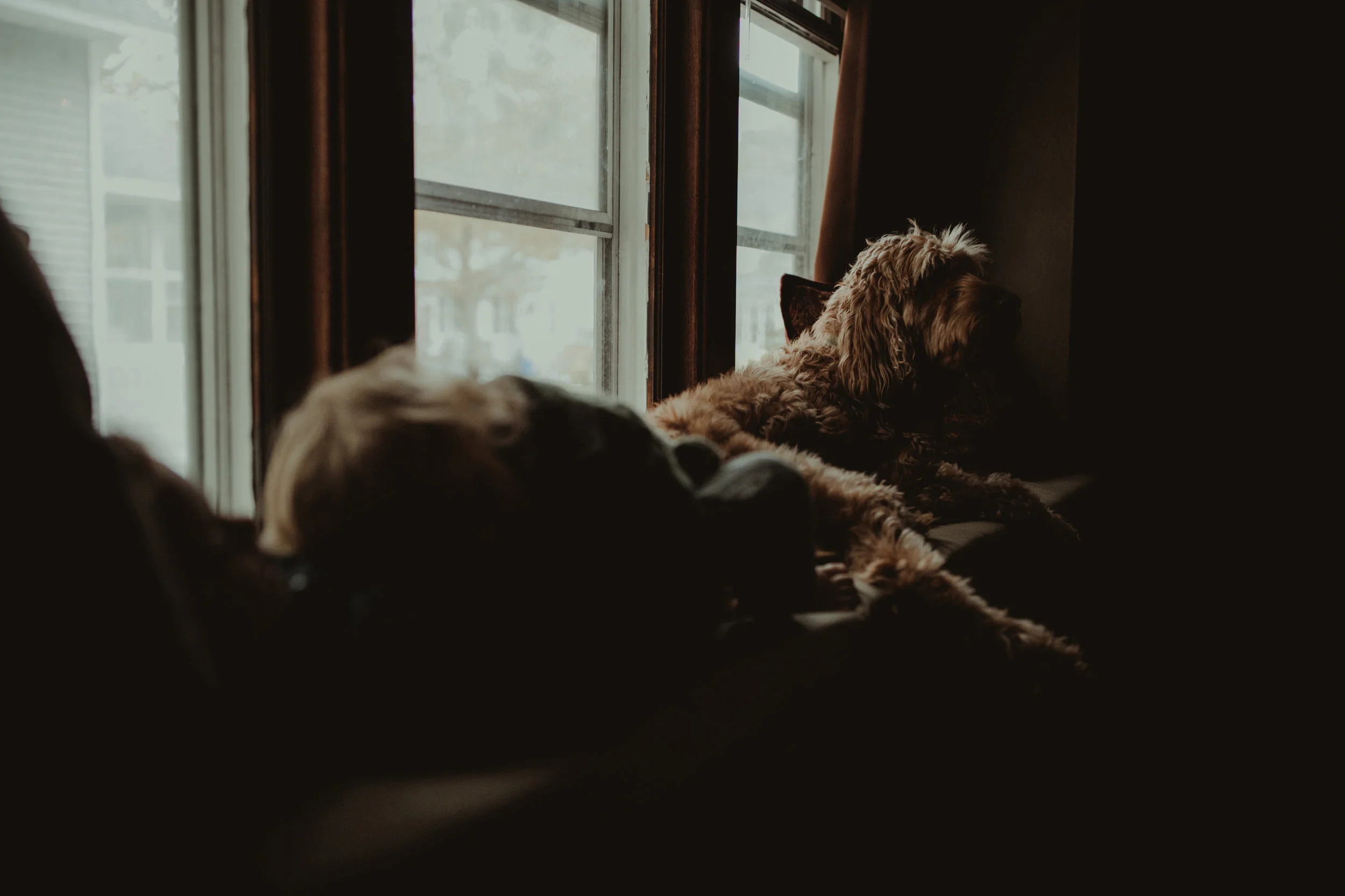 BEAMER-FAMILY-8.jpg