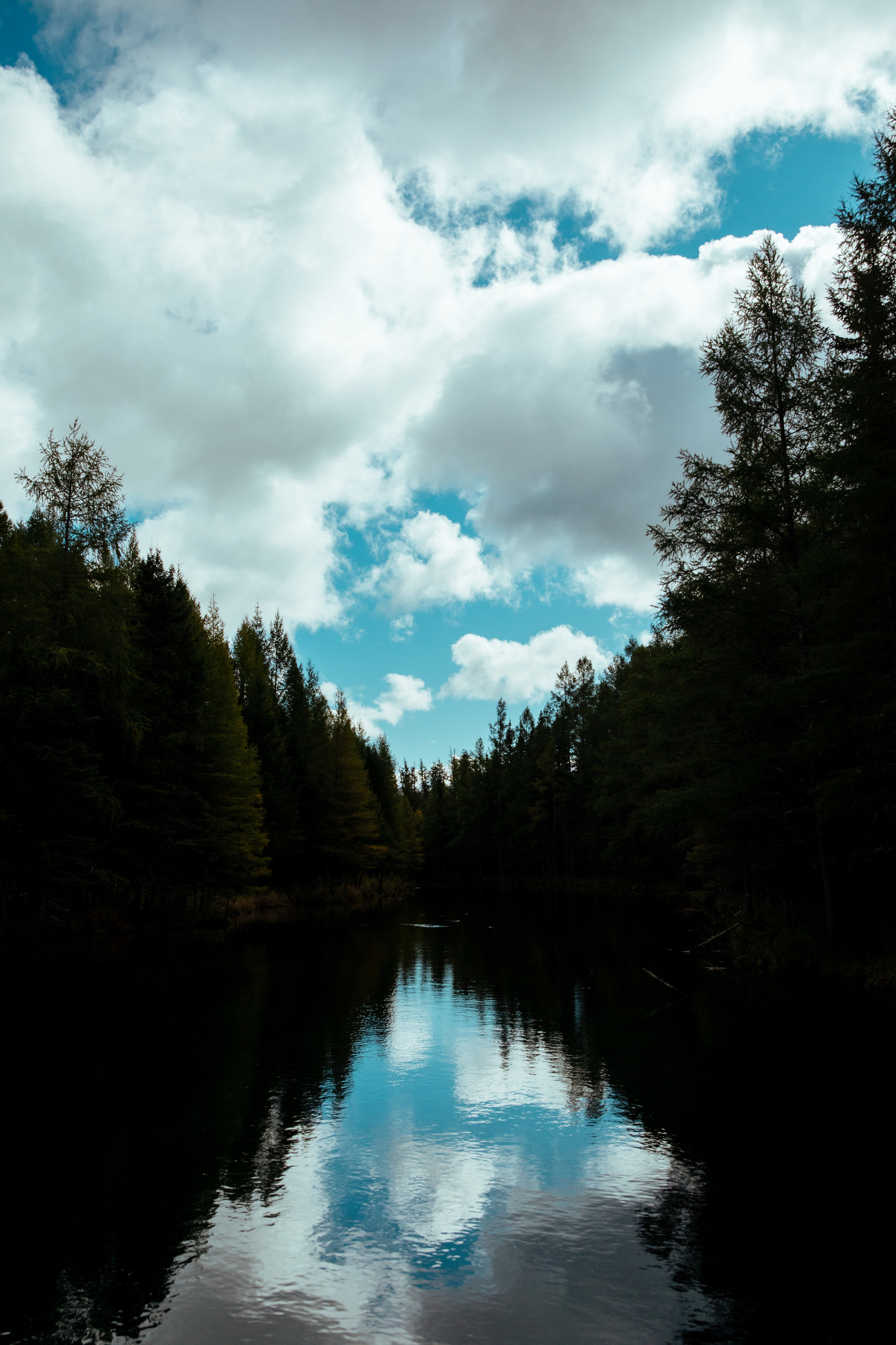 michigan-lifestyle-photographer-upper-penninsula-vacation-personal-27-2.jpg