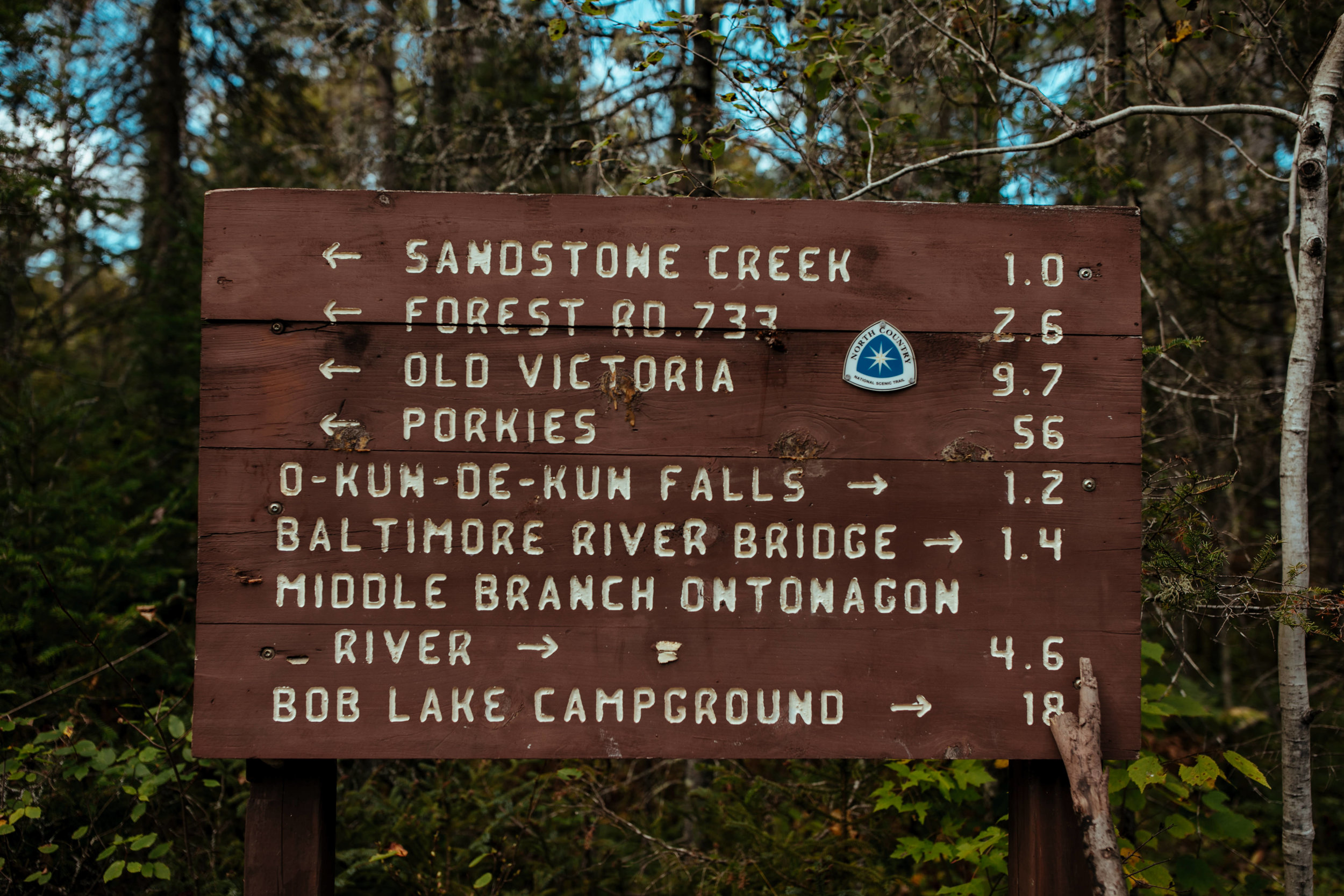 michigan-lifestyle-photographer-upper-penninsula-vacation-personal-41.jpg
