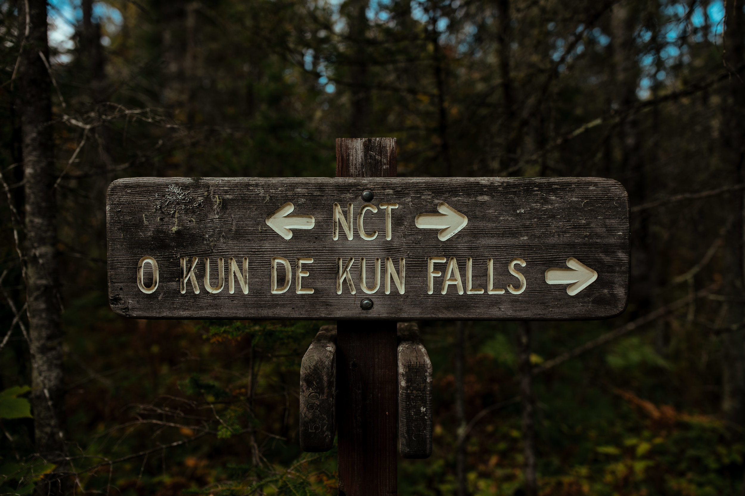 michigan-lifestyle-photographer-upper-penninsula-vacation-personal-42-2.jpg
