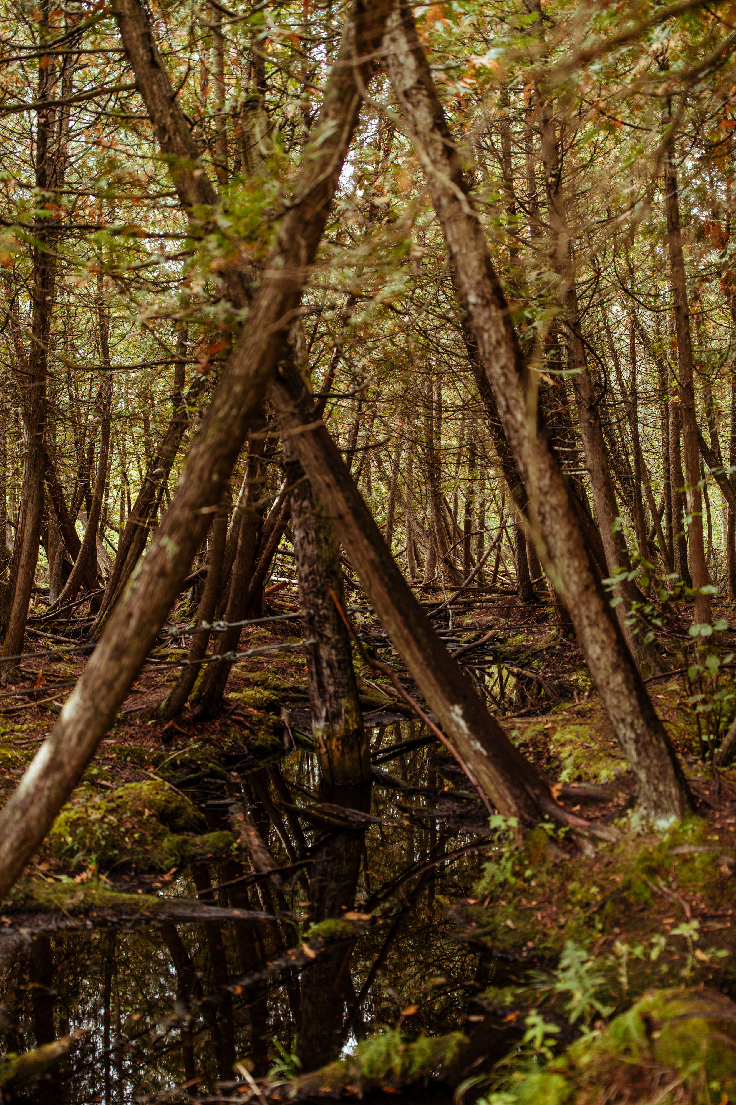 michigan-lifestyle-photographer-upper-penninsula-vacation-personal-42.jpg