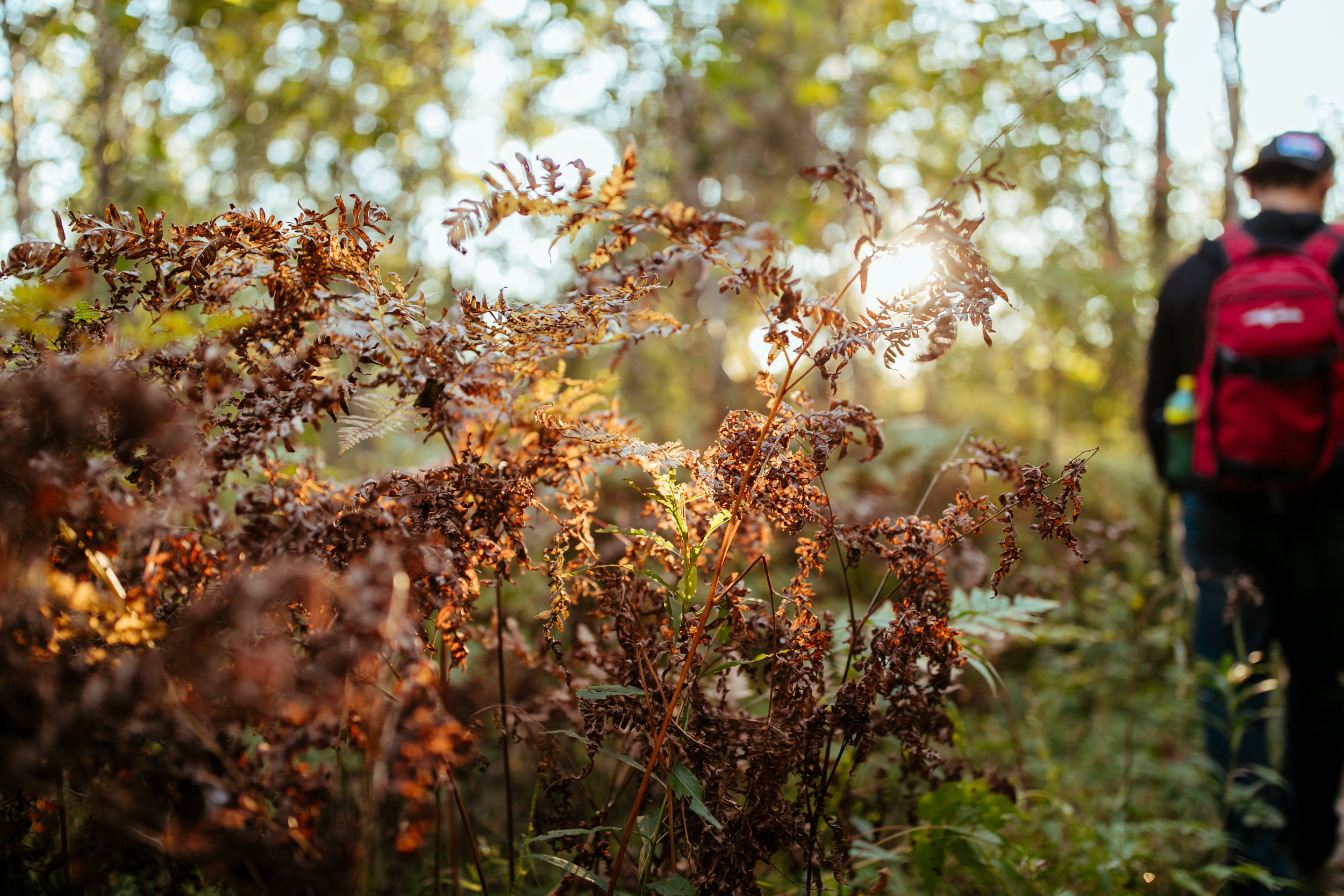 michigan-lifestyle-photographer-upper-penninsula-vacation-personal-131.jpg