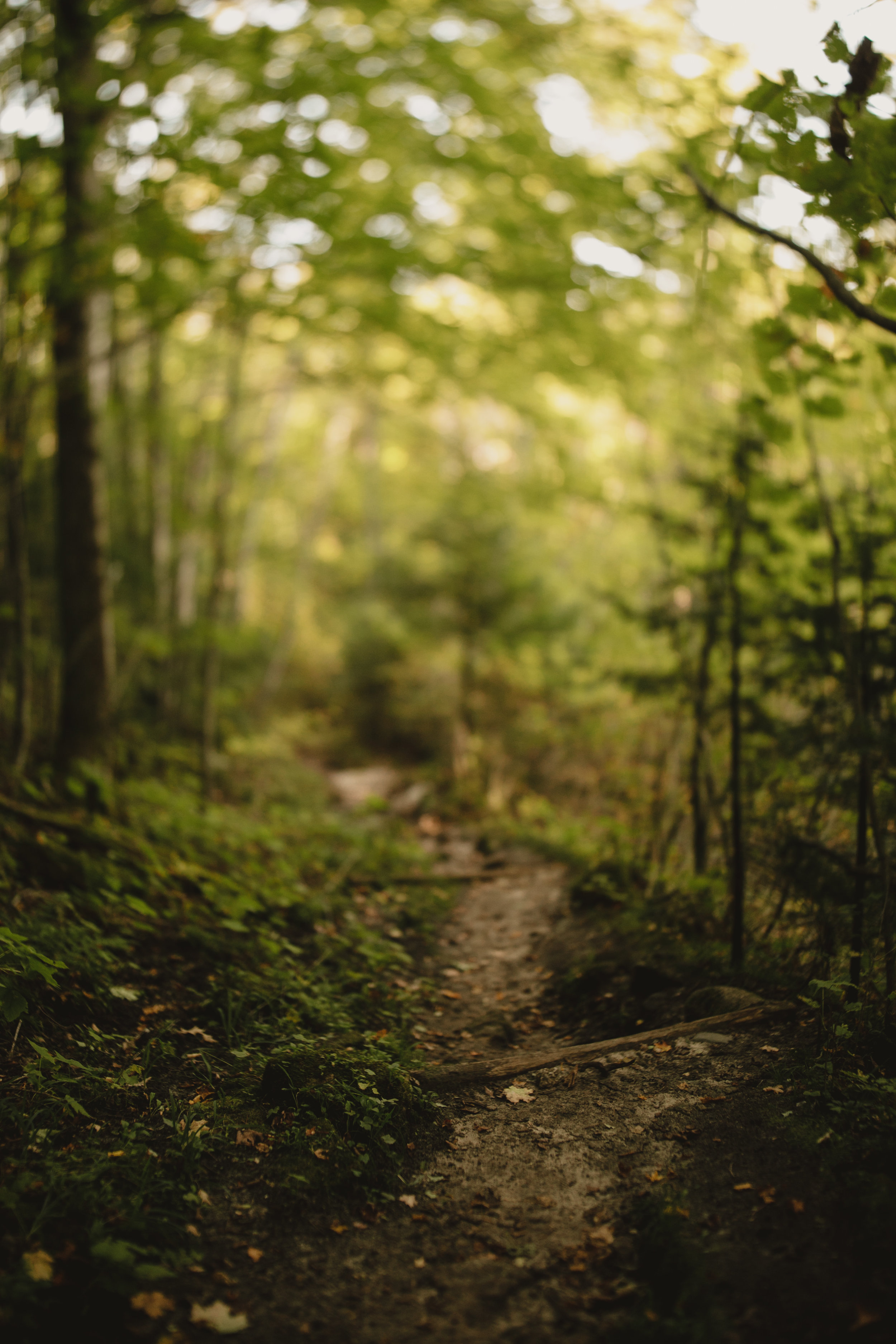 michigan-lifestyle-photographer-upper-penninsula-vacation-personal-3.jpg