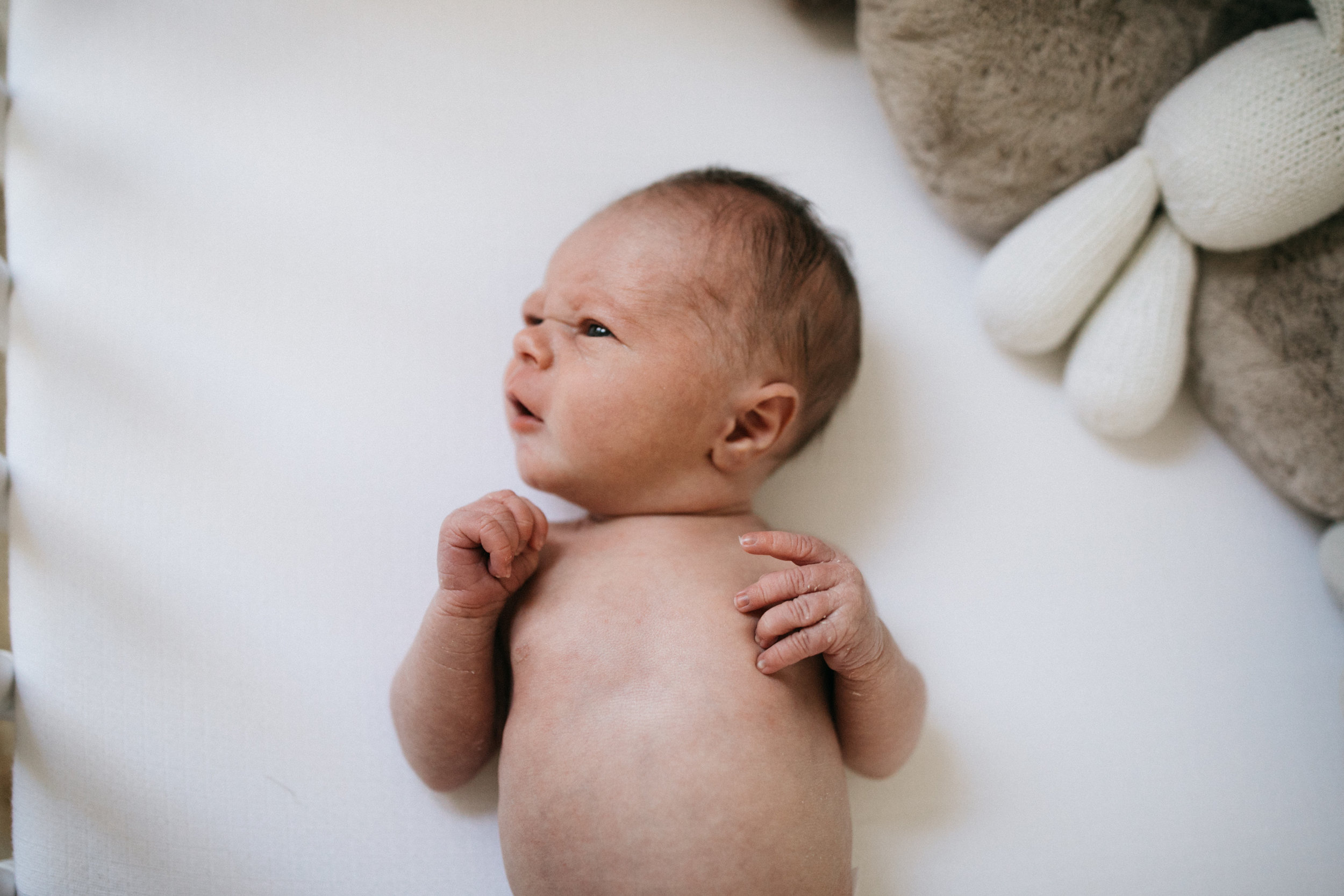 EMMETT-NEWBORN-8.jpg