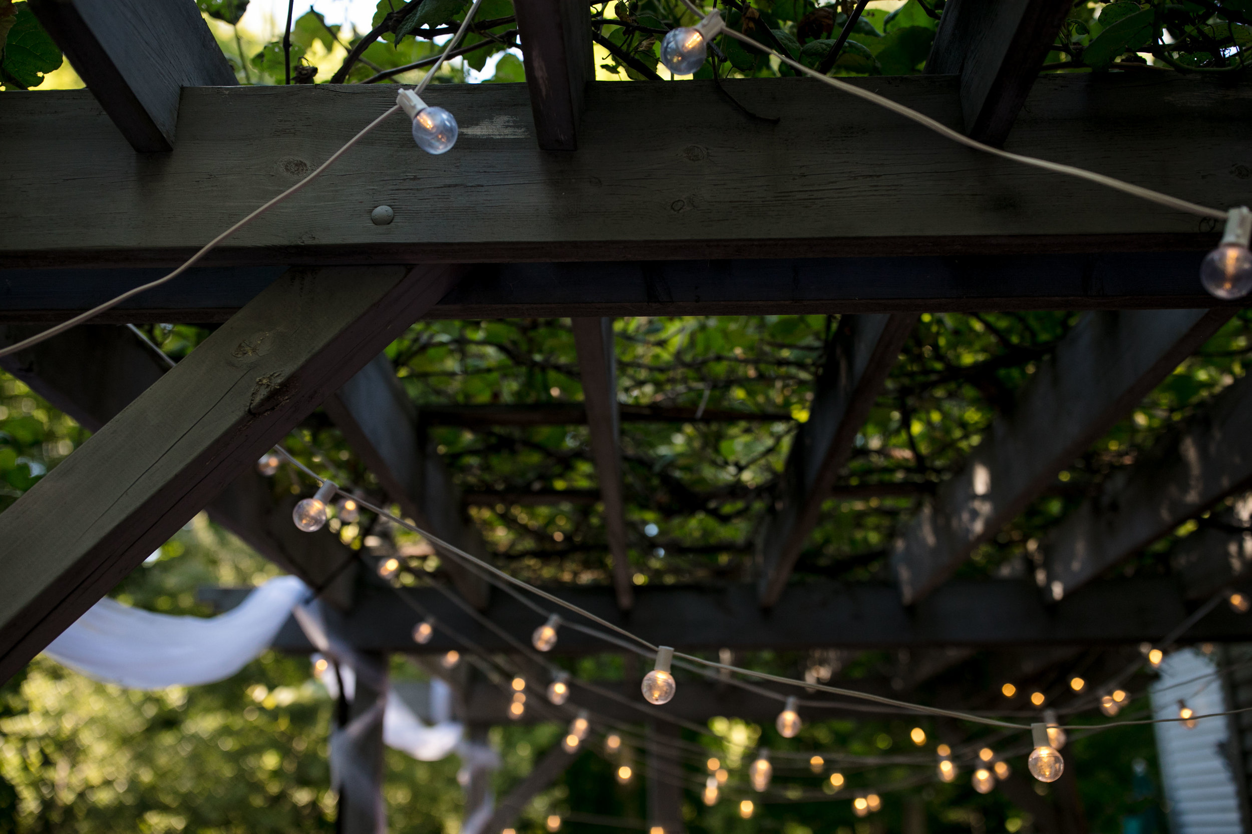 ludington-michigan-intimate-backyard-wedding-jessica-nolan196.jpg