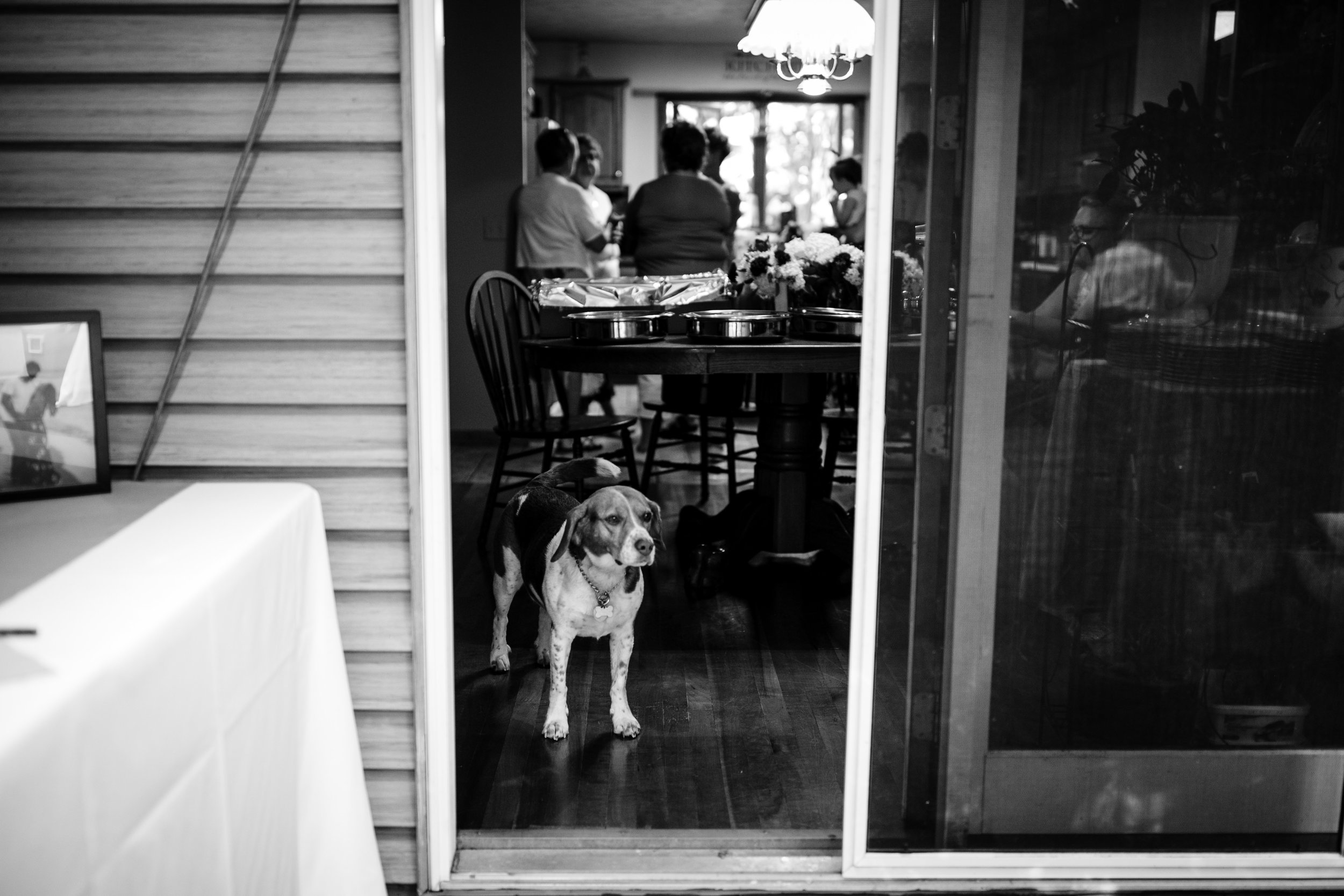 ludington-michigan-intimate-backyard-wedding-jessica-nolan201.jpg