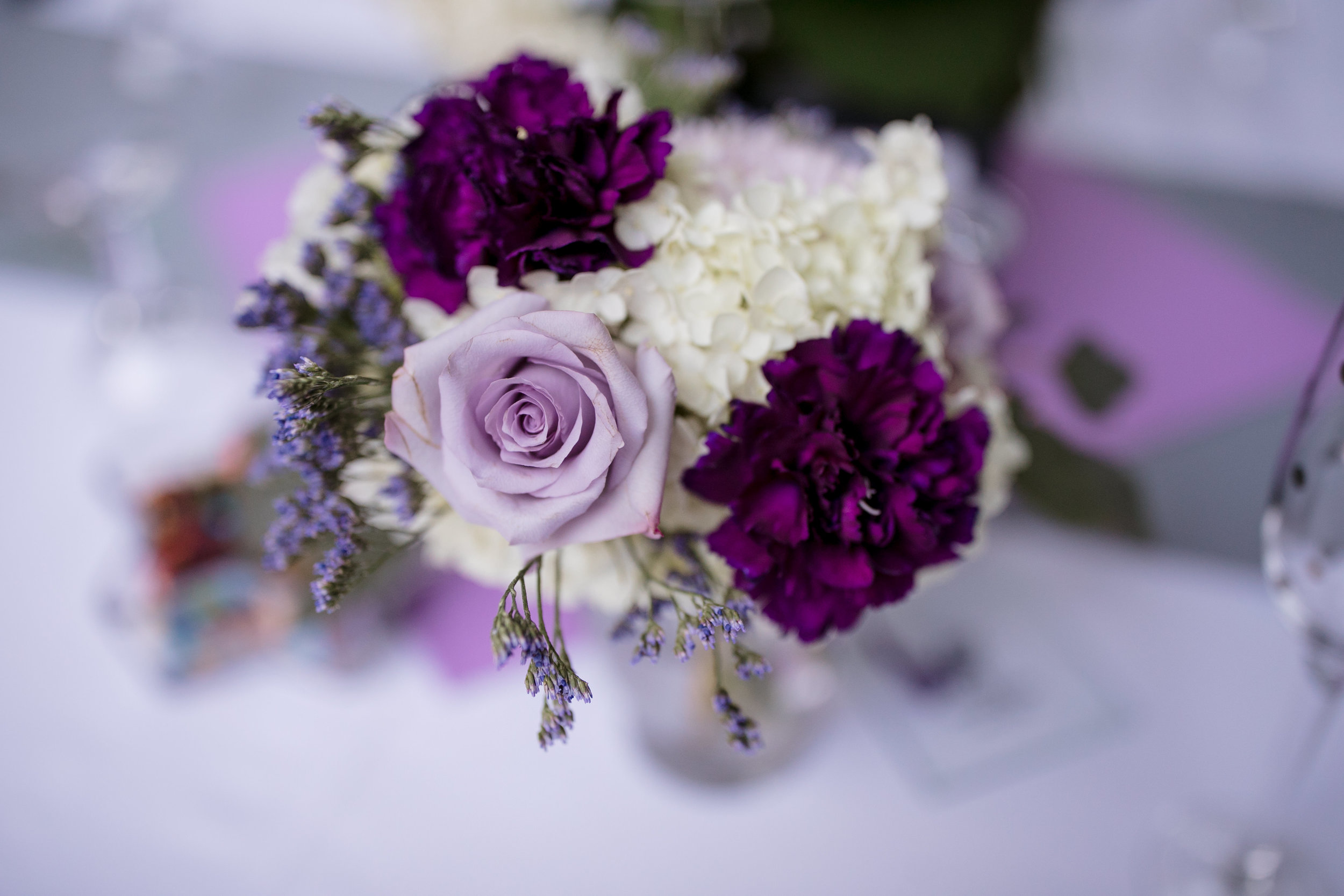 ludington-michigan-intimate-backyard-wedding-jessica-nolan434.jpg