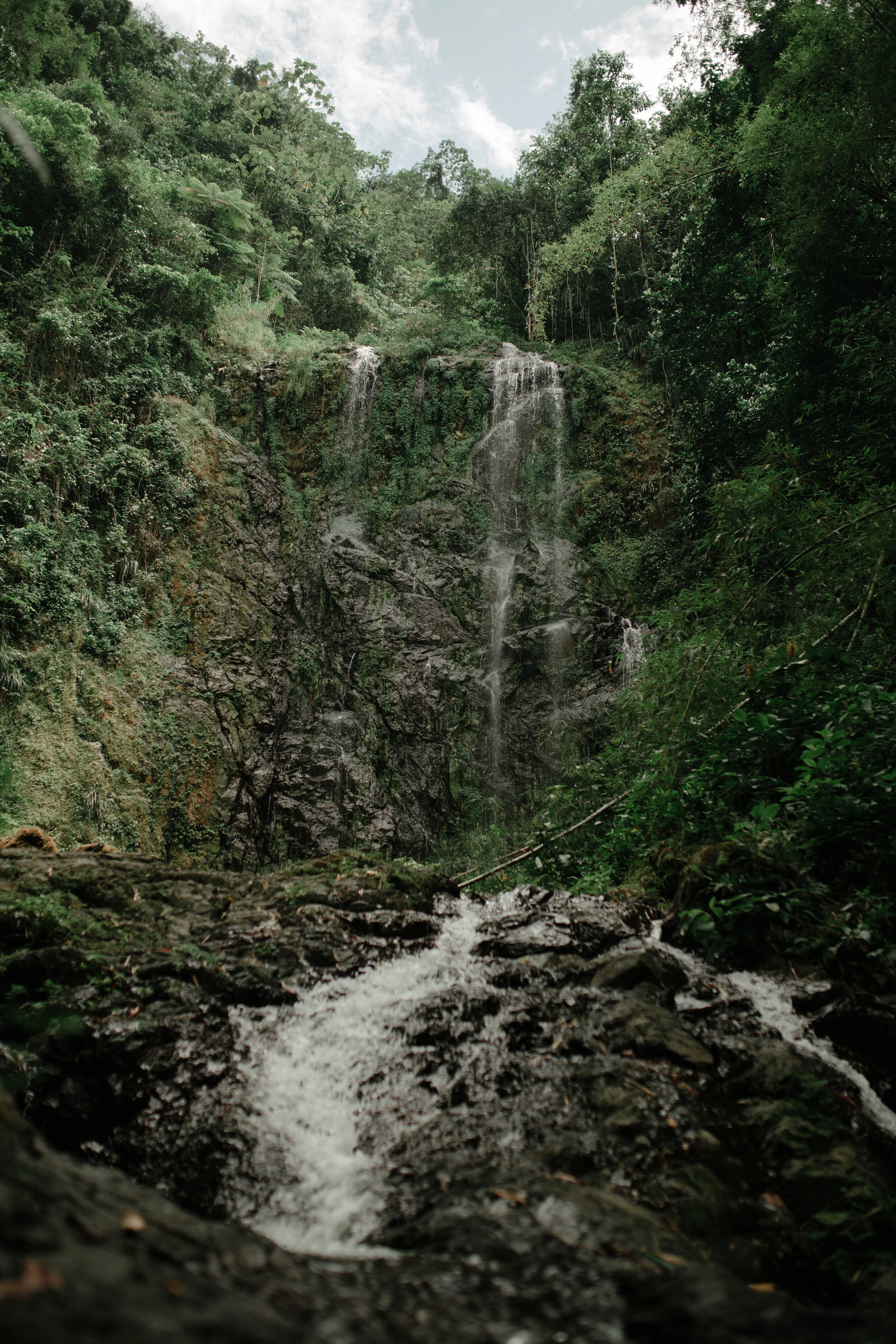 Untitled Export-0059.jpg