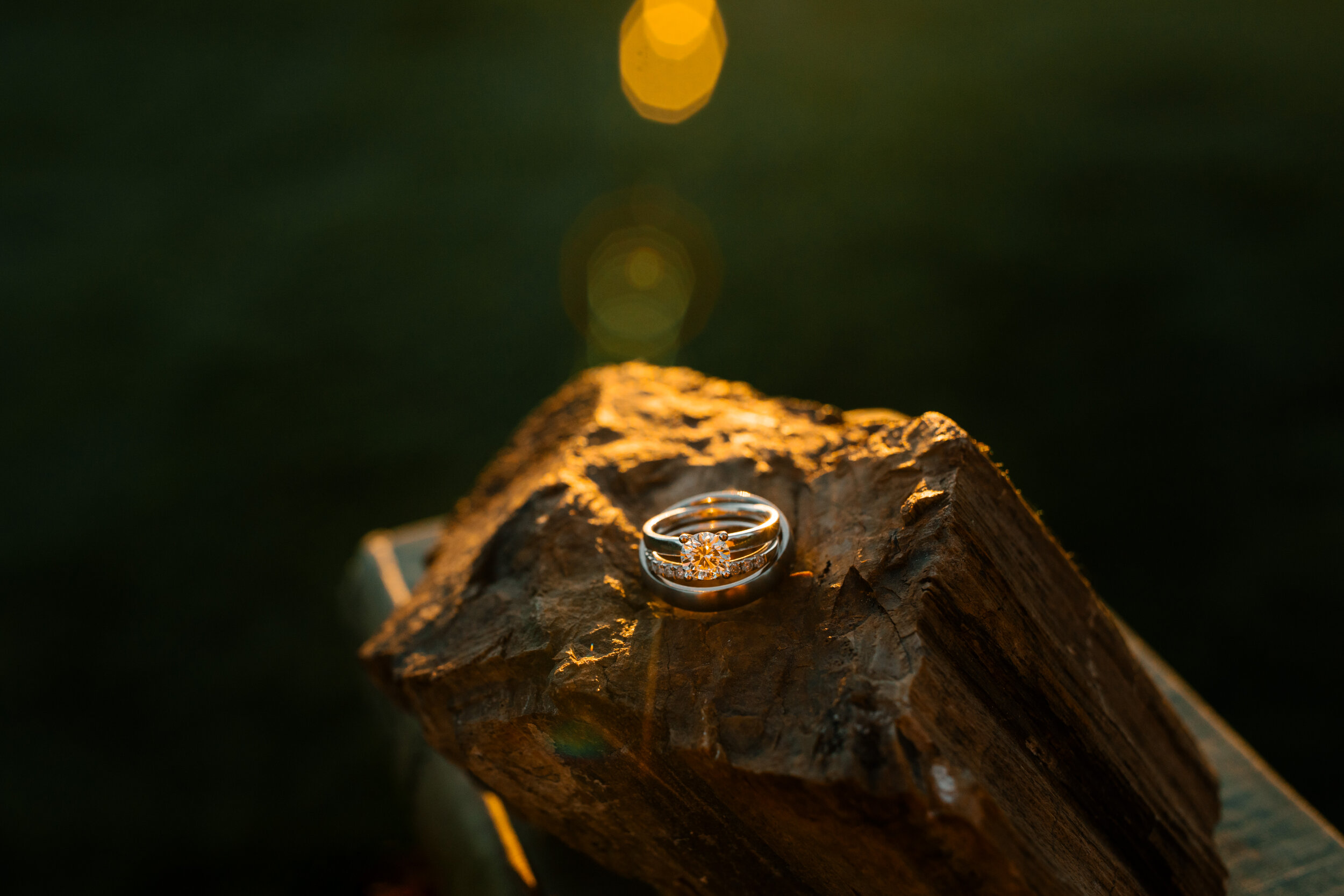 michigan-wedding-photographer-jessicamax-carlymike-43.jpg