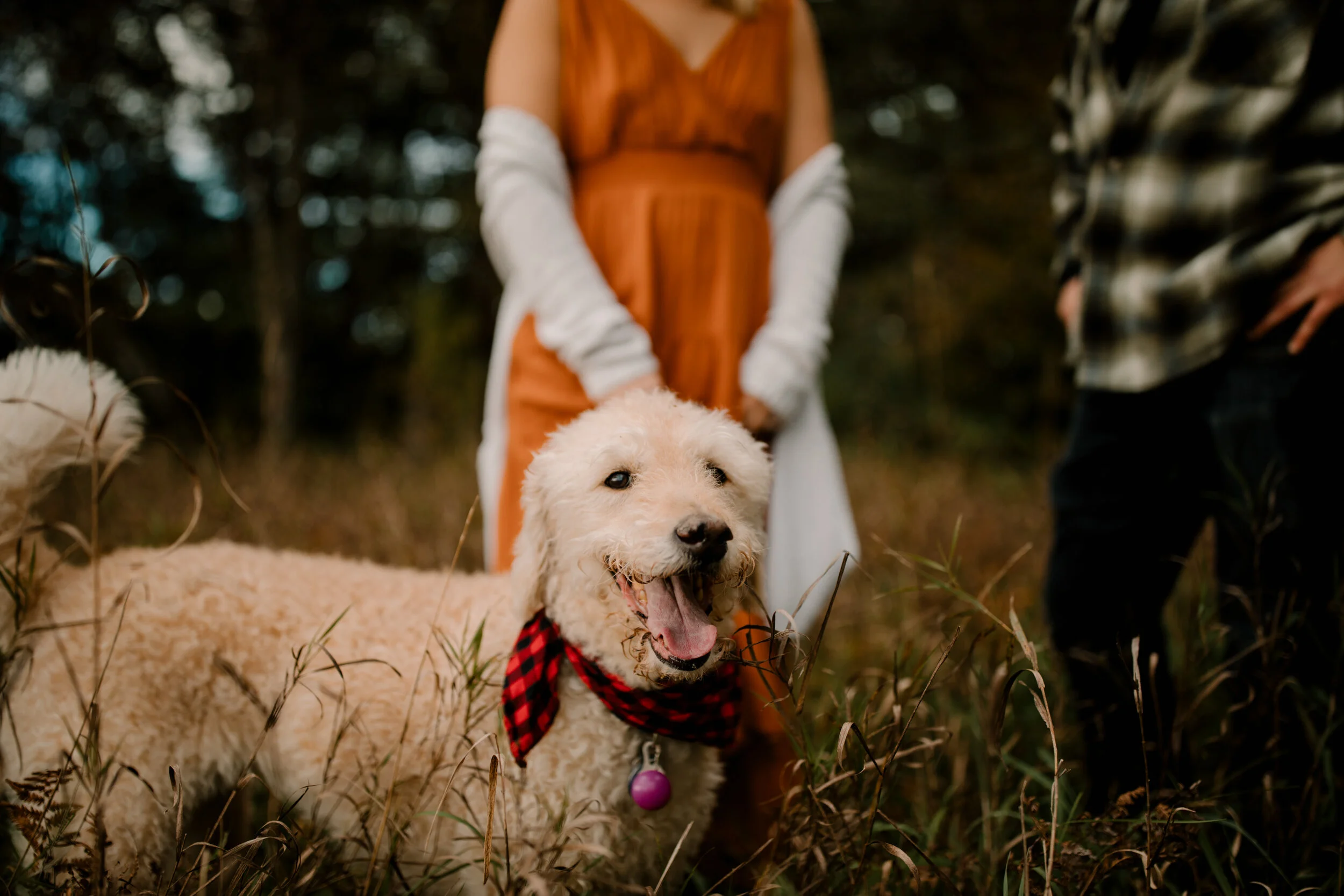 michigan-photographer-jessica-max-october-114.jpg