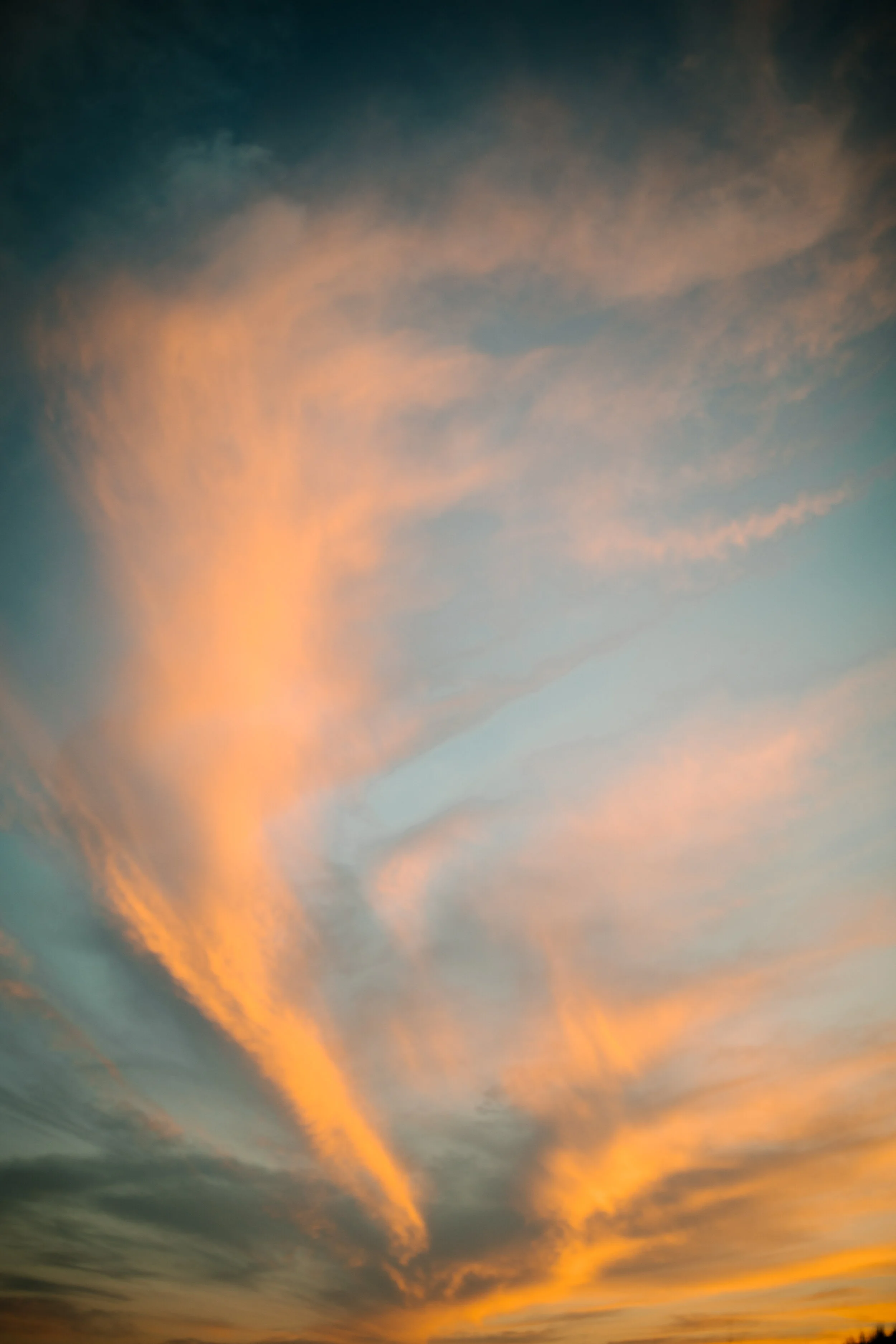michigan-photographer-jessica-max-july-75.jpg
