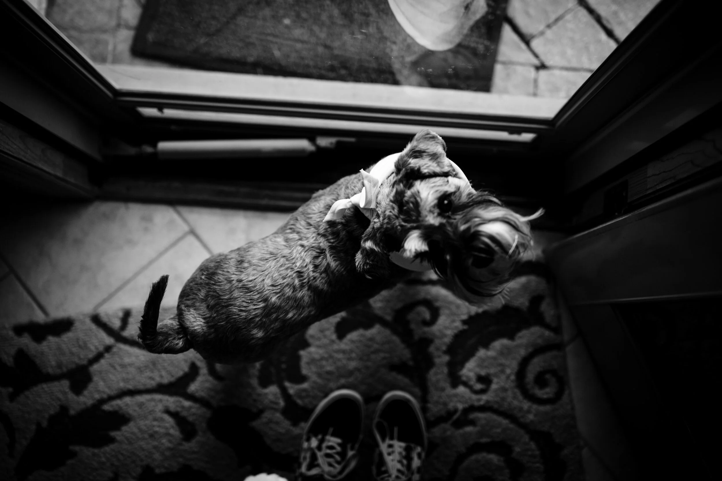 michigan-wedding-photographer-jessica-max-CoreysgettingMaryed-287.jpg
