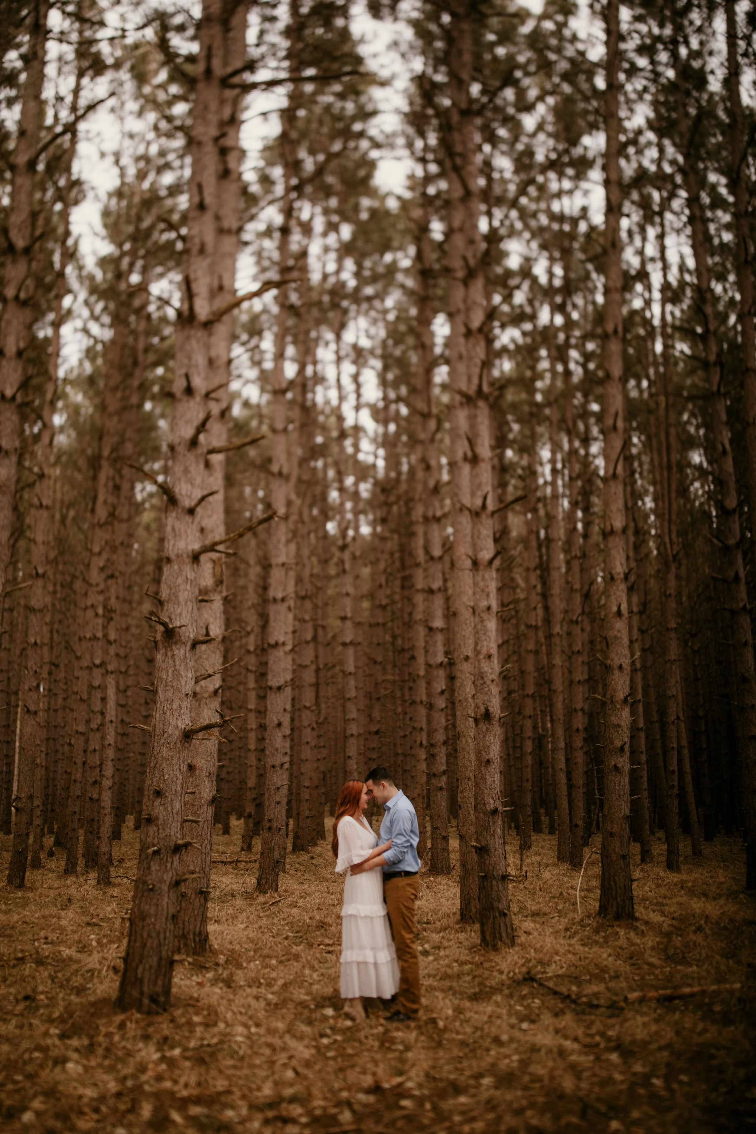 michigan-photographer-jessica-max-3.jpg