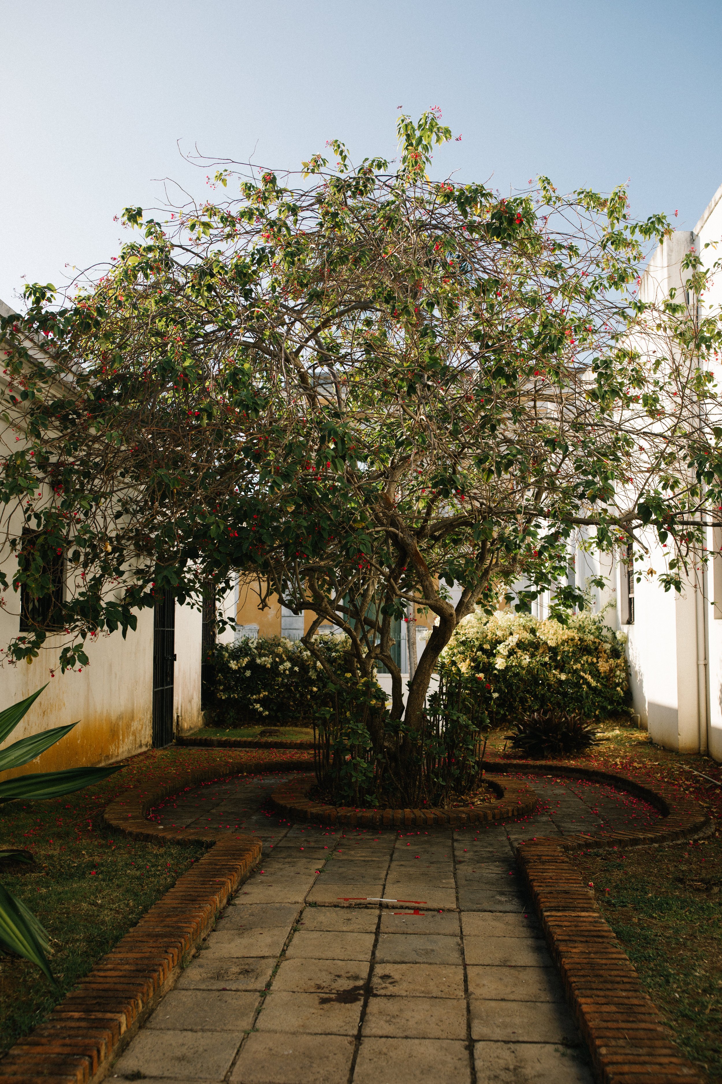 Puerto-Rico-Museo-Casa-Blanca-Wedding-69.jpg