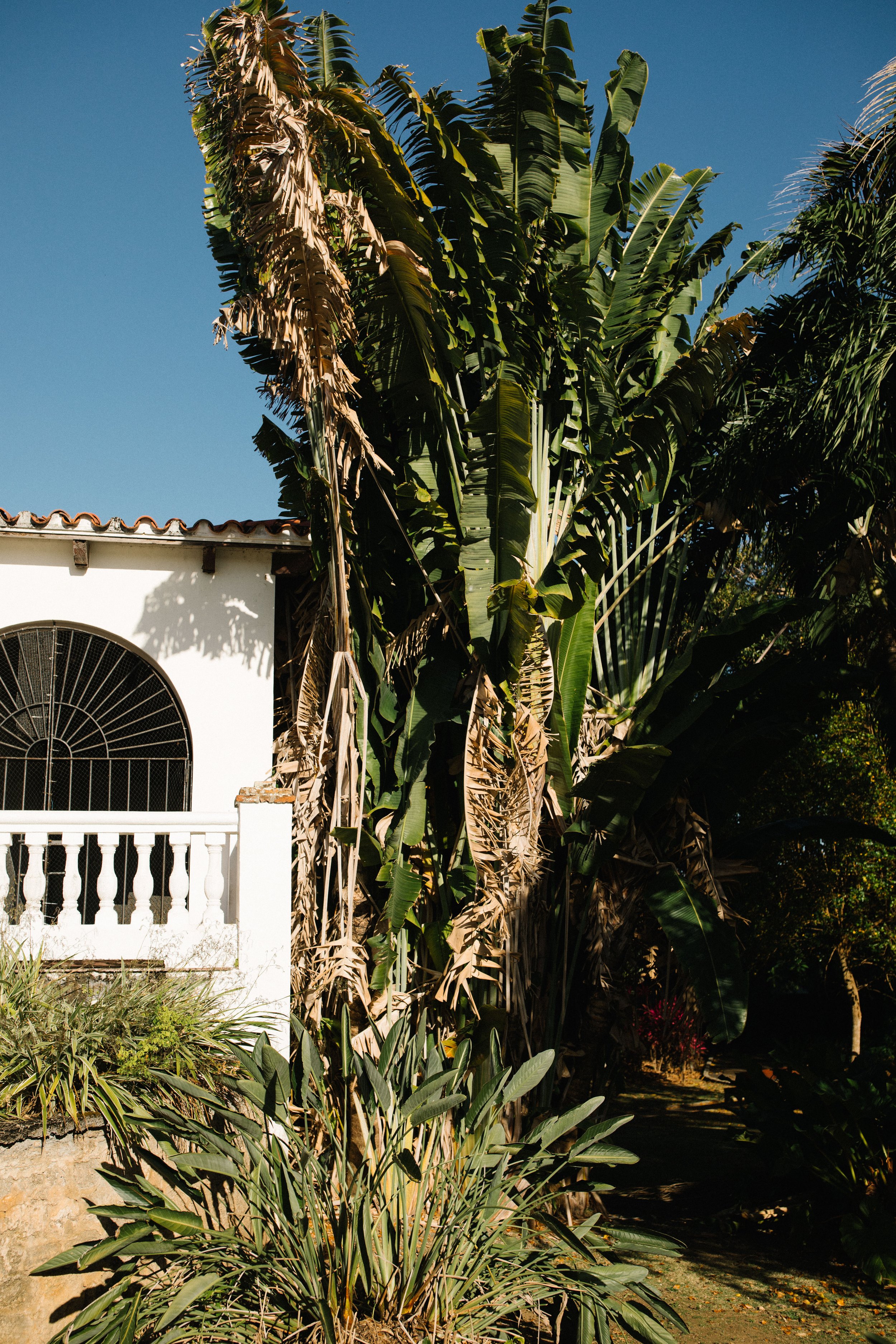 Puerto-Rico-Museo-Casa-Blanca-Wedding-70.jpg