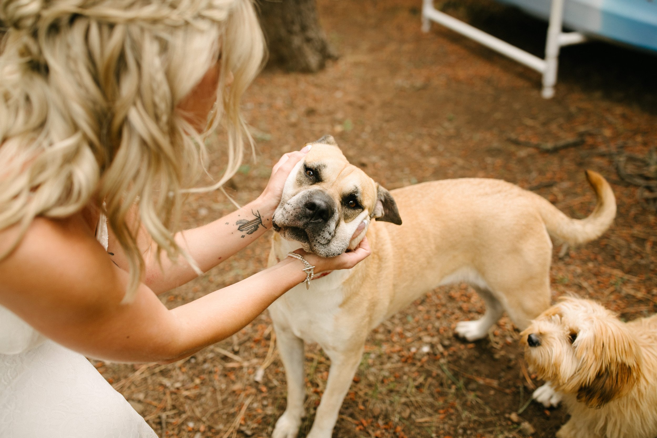 Arizona-Photographer-Pinetop-ShowLow-Wedding-115.jpg