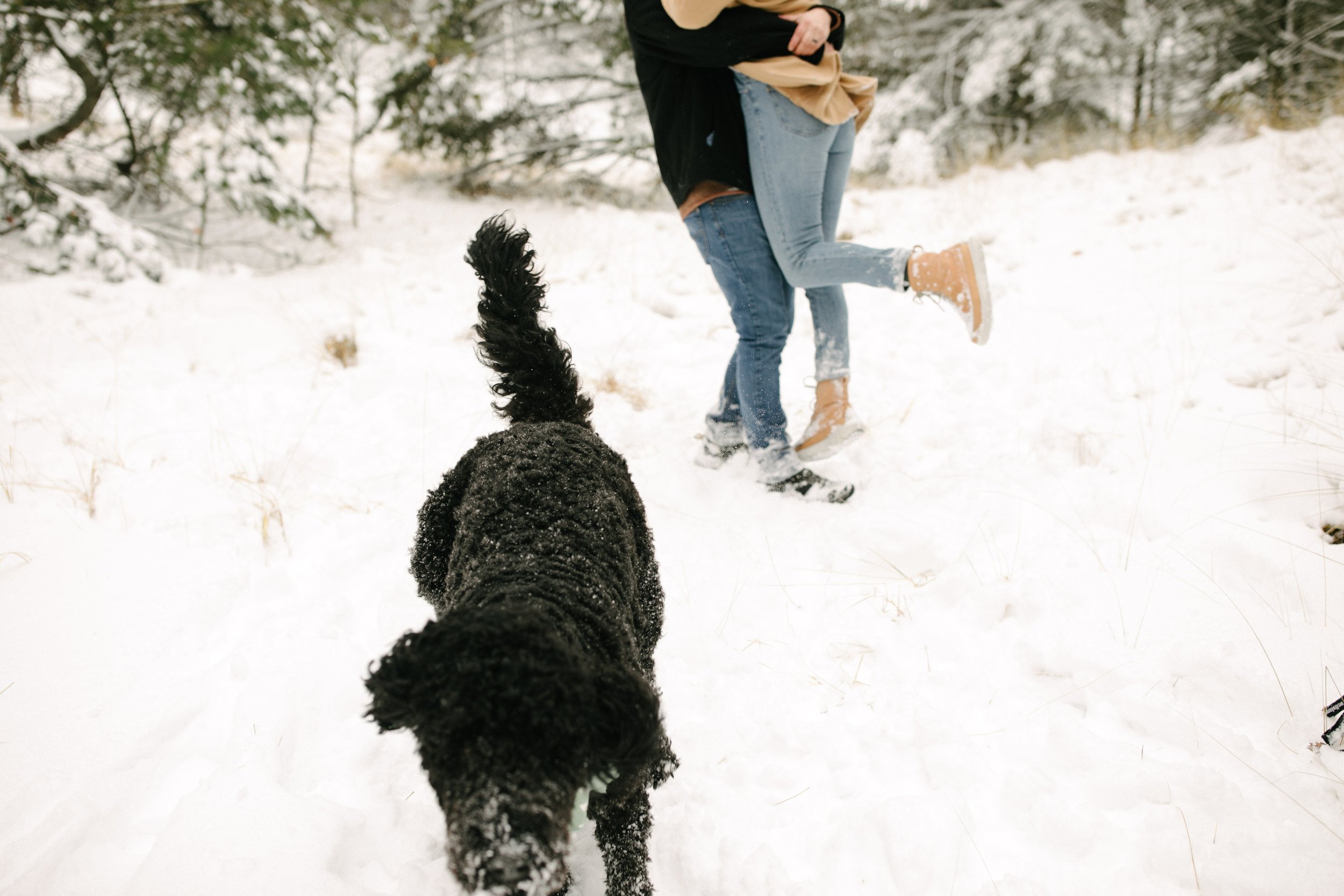 Michigan-Photographerwomens-couples-winter-session-14.jpg