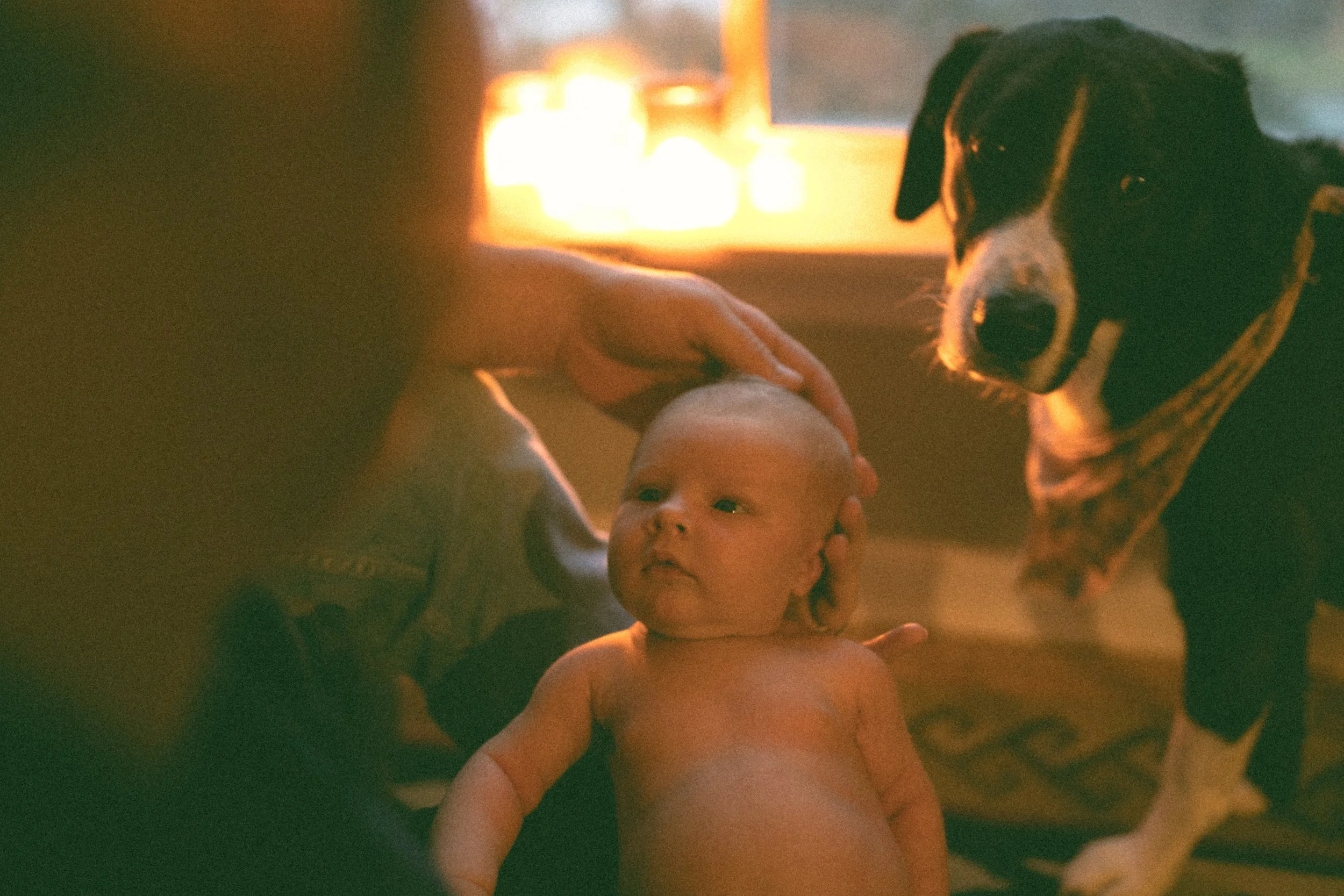 Alex &amp; Ryan // In Home Newborn Session Manistee, Mi
