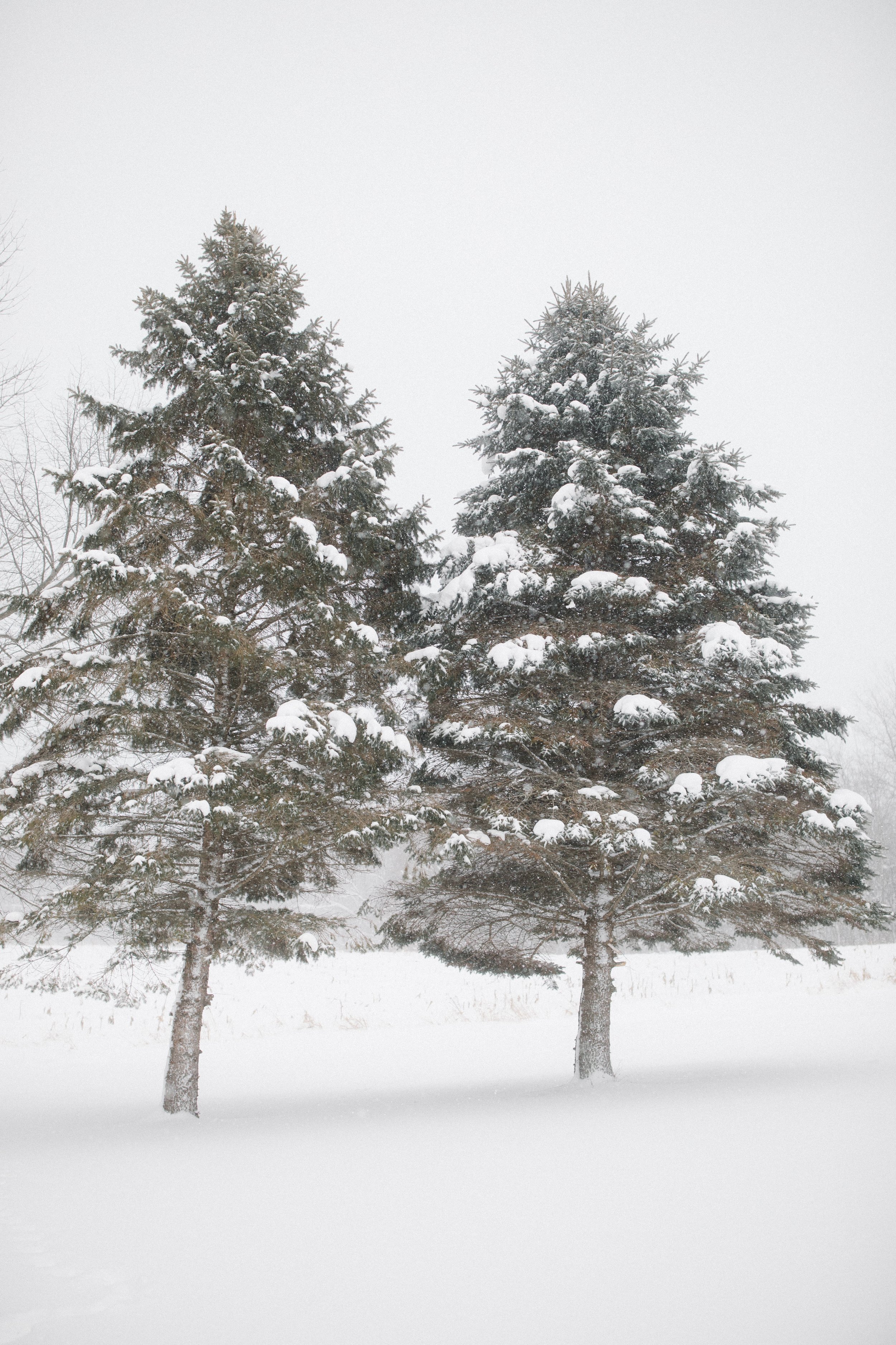 Michigan-Wedding-Photographer-Ludington-Winter-In-Home-5.jpg