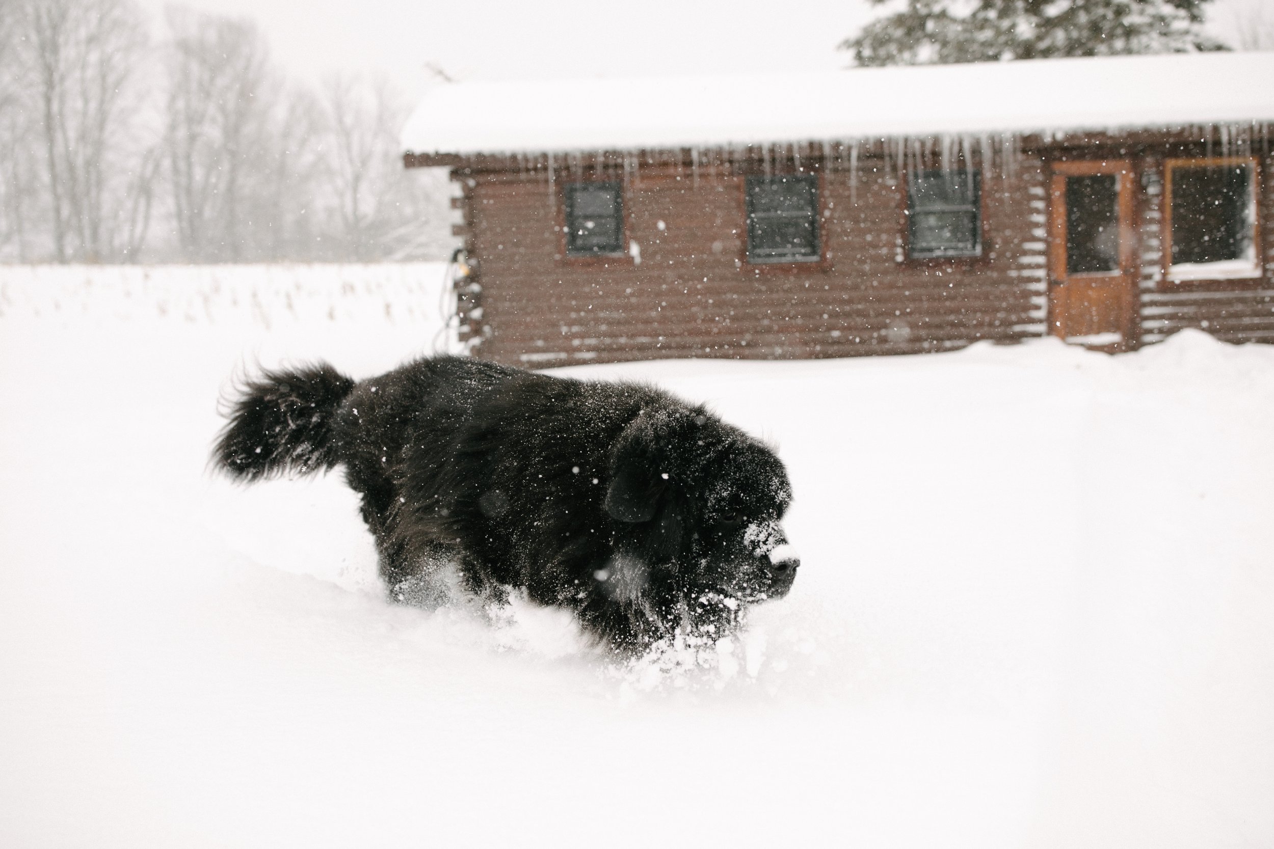 Michigan-Wedding-Photographer-Ludington-Winter-In-Home-43.jpg